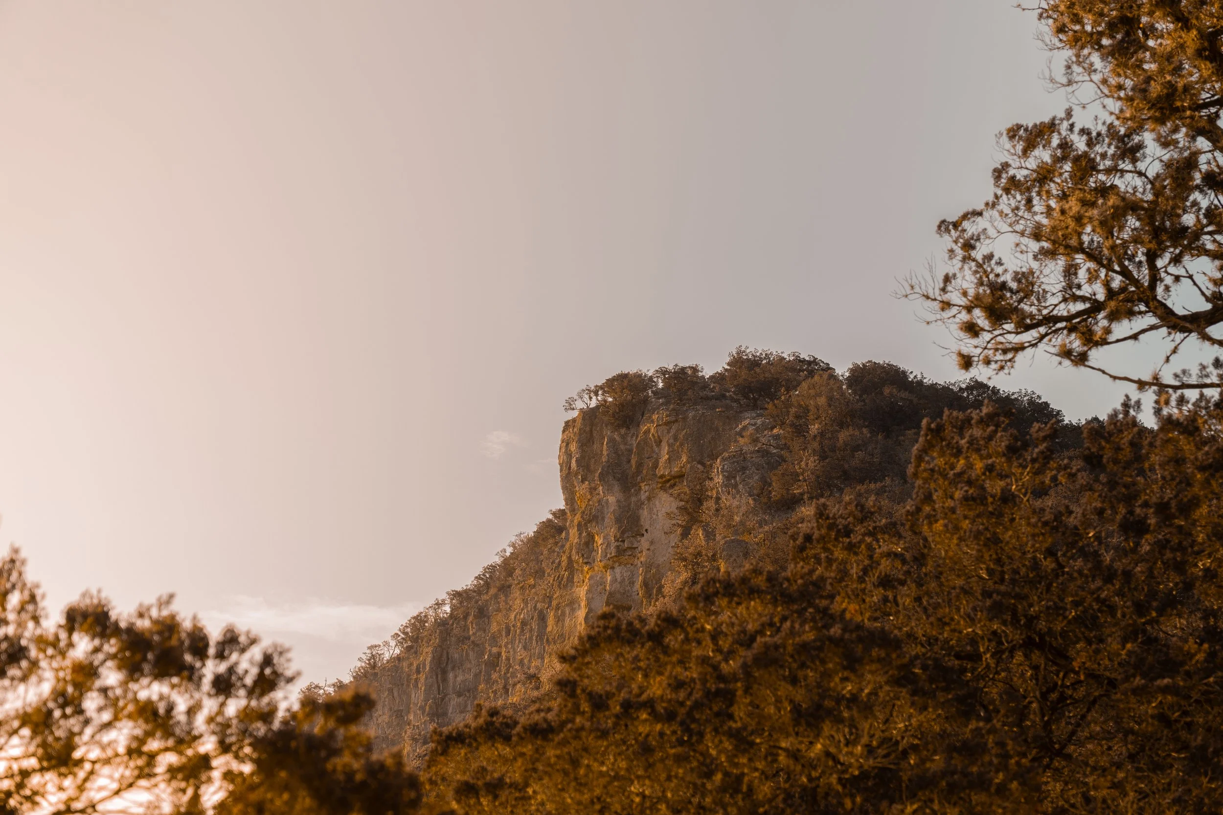 DSCF7997.jpg