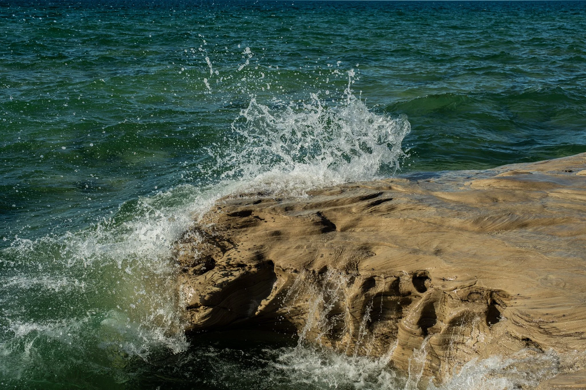 DSCF0371.jpg
