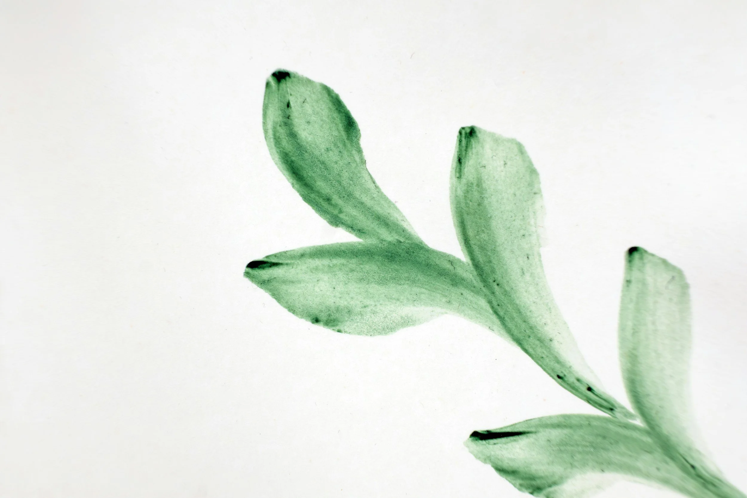 Why Your Wellness Brand Looks Like Every Other Wellness Brand