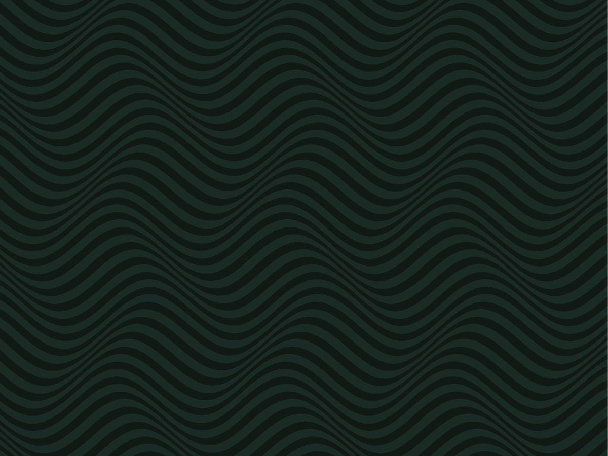 13Pattern 2.png