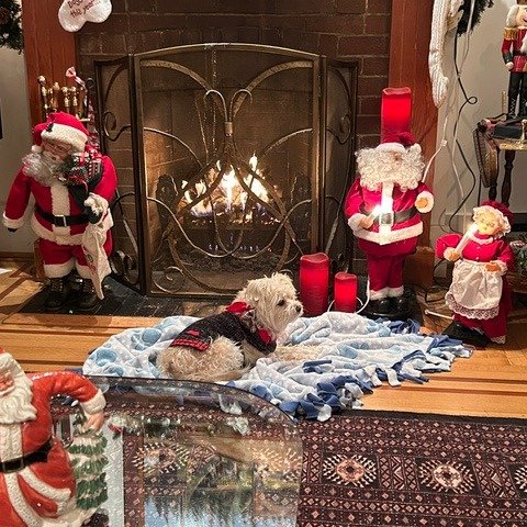 🔥 Holiday warmth done right.

One of our clients shared this beautiful shot of their gas log fireplace bringing real flame, comfort, and charm into their living space. From the glowing logs to the cozy ambiance (and the cutest four-legged supervisor