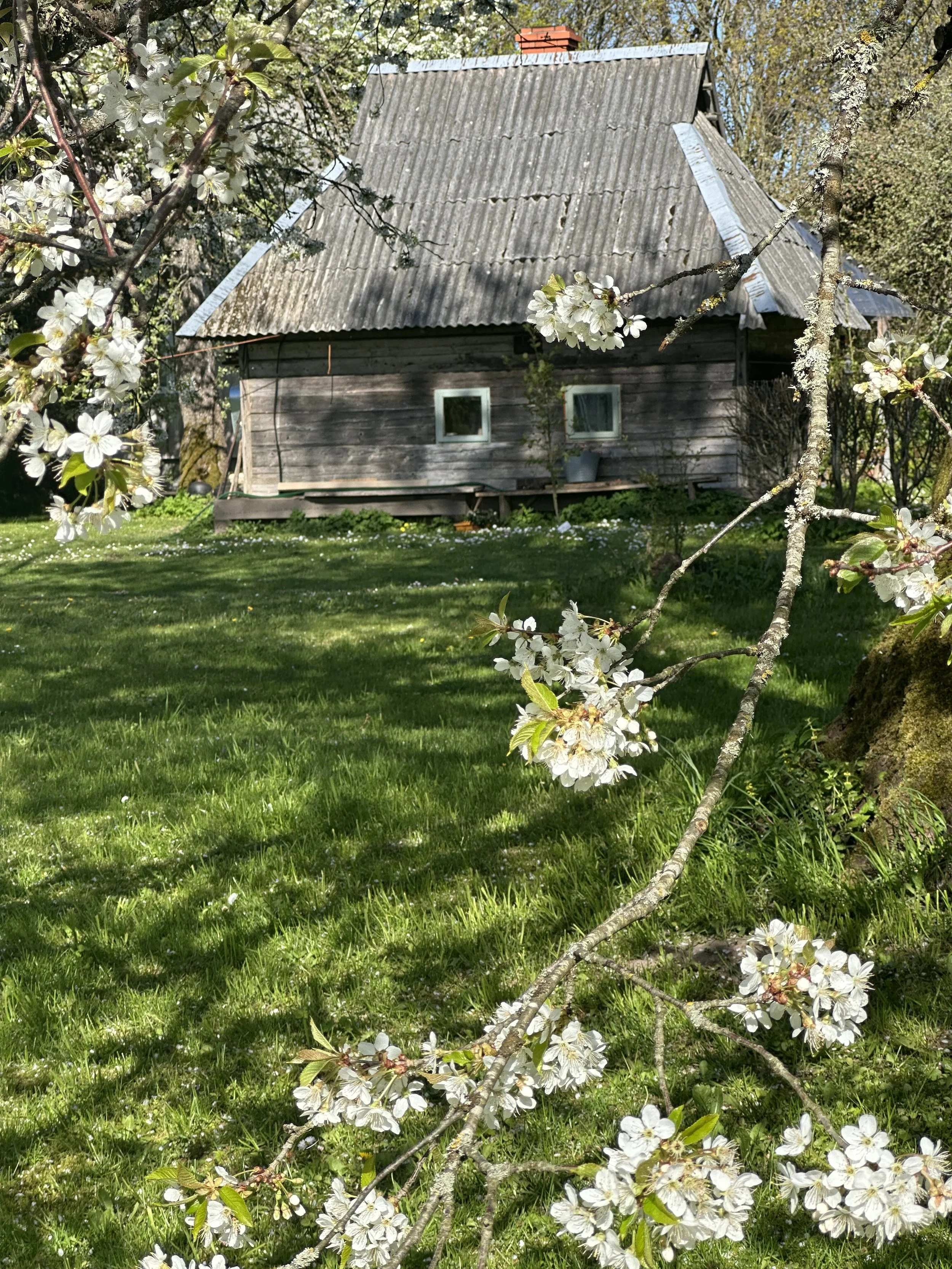 Pirts konference 2026