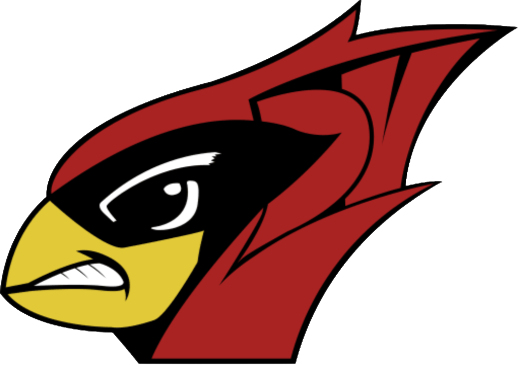 A stylized cartoon eagle mascot with black, yellow, and red colors, featuring an aggressive expression.