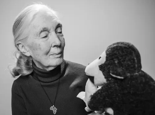 Jane Goodall, Influencer