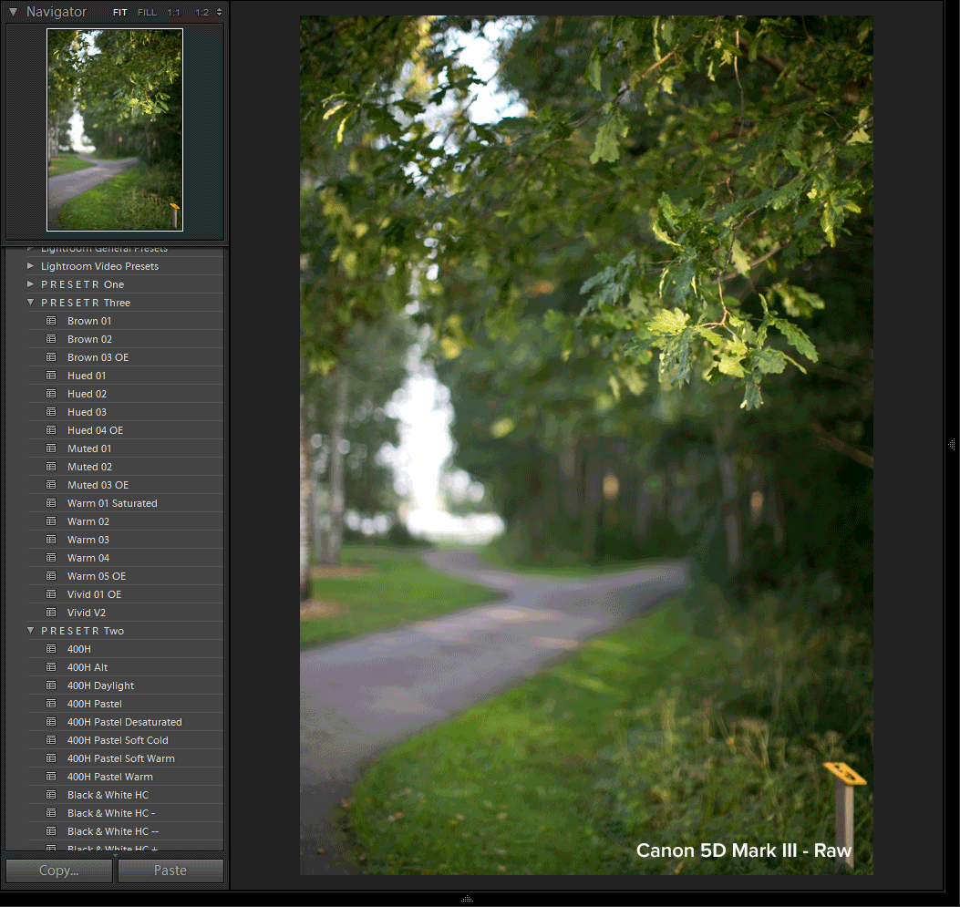 A narrow, winding country road surrounded by green grass and trees, with a tree branch extending over the road on the right side. The background shows more trees and a bright sky. The image is taken in natural light, with the bottom right corner displaying the text 'Canon 5D Mark III - Raw'. The left part of the screen shows a photo editing software with various preset options.