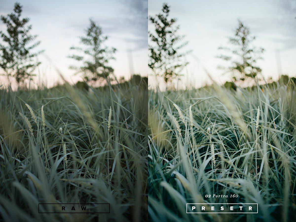 A side-by-side comparison of two close-up photos of a grassy field with trees and a cloudy sky in the background, featuring the difference between RAW and preset editing styles.