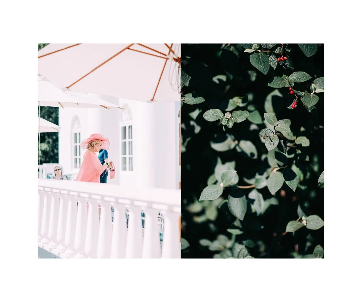 Split image with the left showing women in pink hats and dresses on a porch with umbrellas, and the right showing close-up of green leaves with red berries.