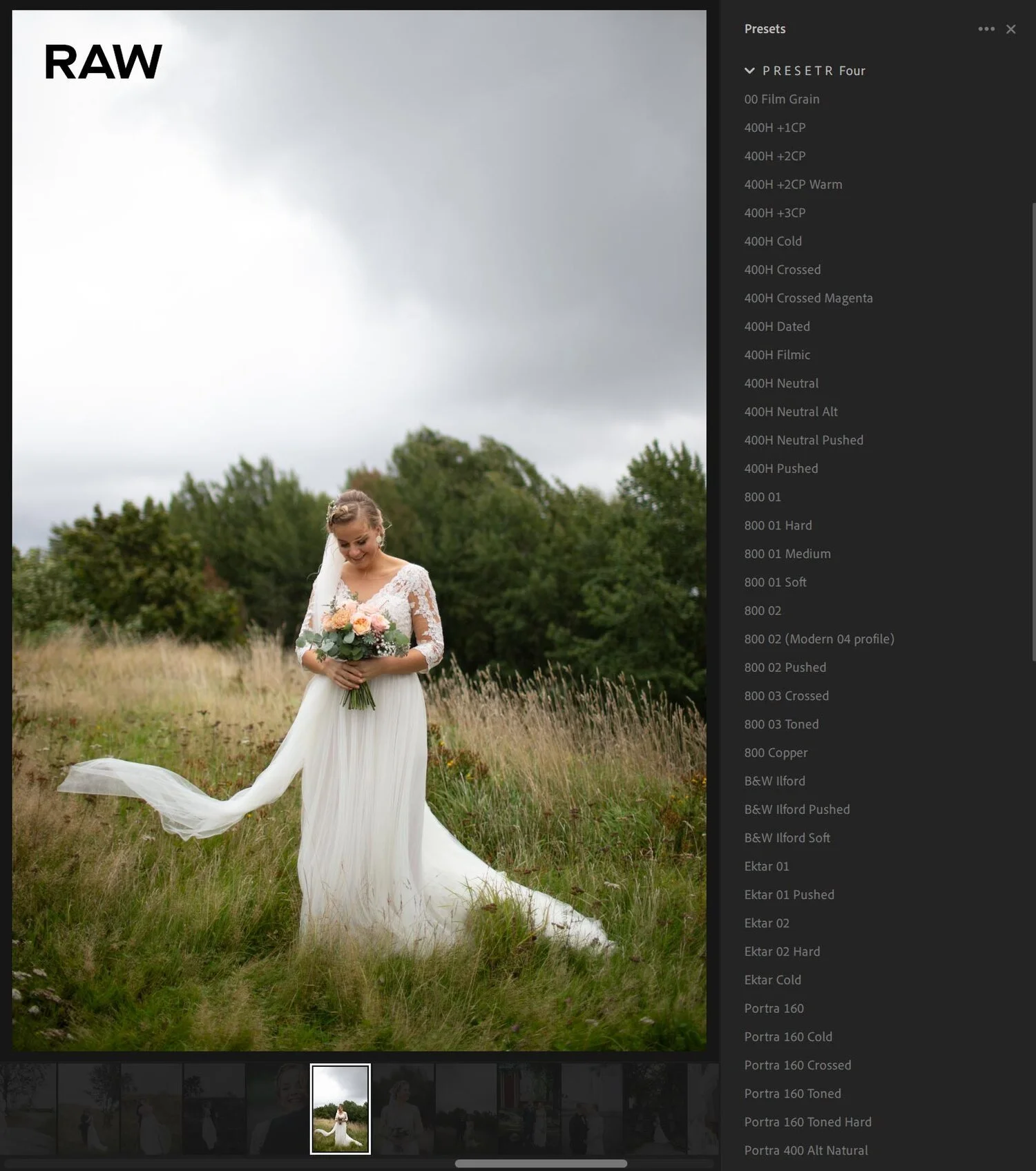 A bride in a white wedding dress holding a bouquet of flowers, standing in a grassy field with trees in the background on a cloudy day.