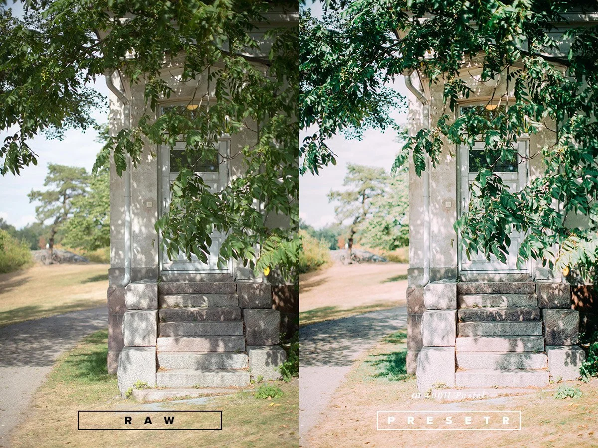 The image shows a split view of a stone staircase leading to a door, surrounded by greenery. The left side is labeled 'RAW' and the right side is labeled 'PRESET', indicating different photo editing filters or adjustments.