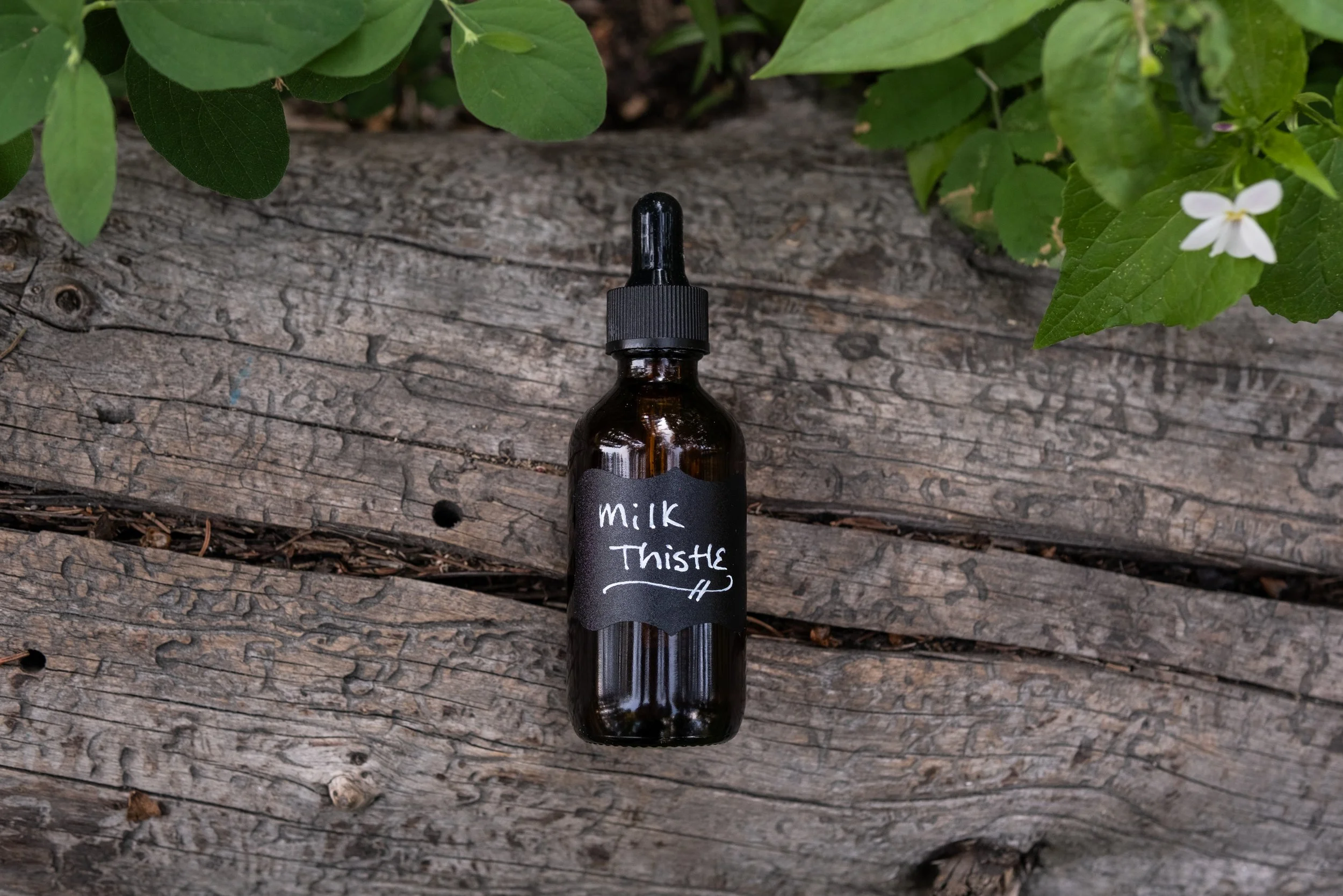 Milk Thistle Tincture – Gentle Detox + Liver Support