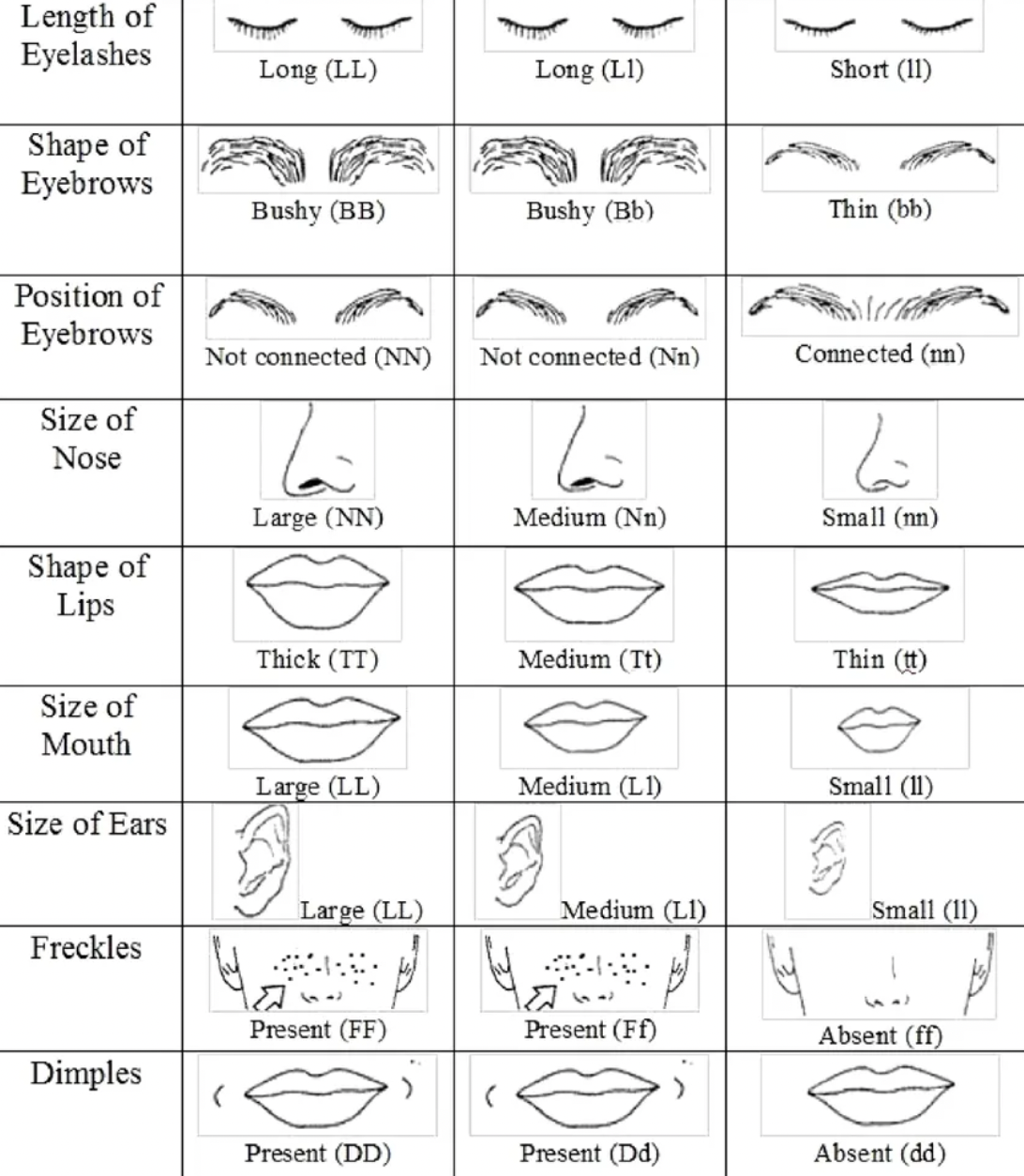 Facial analysis and Cell salts