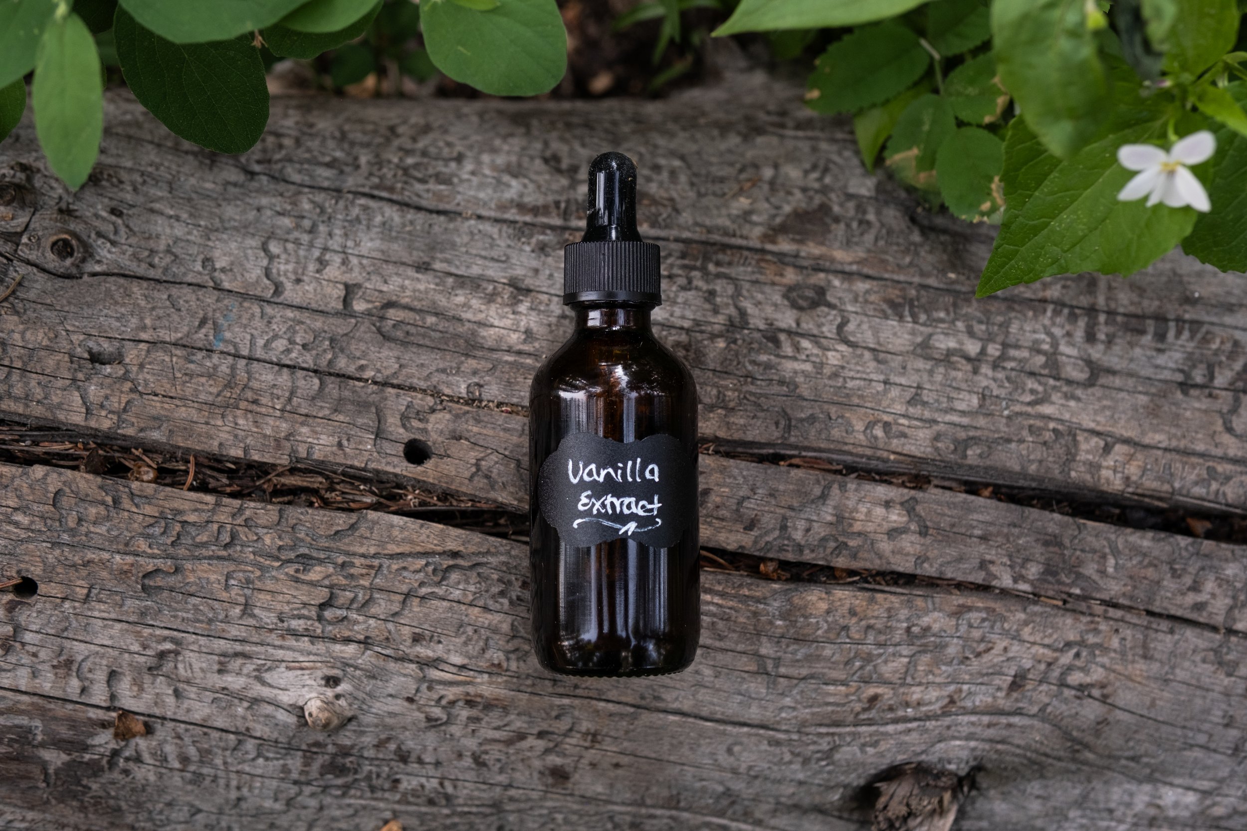 Vanilla Extract – Warm, Sweet, Soulfully Infused