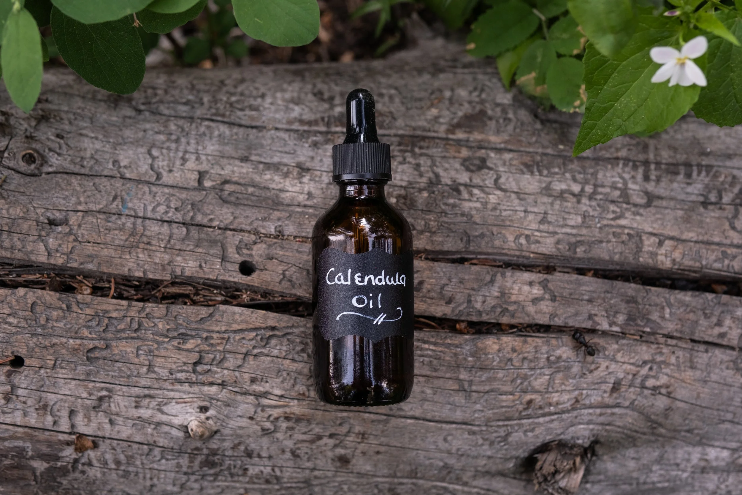 Calendula Oil – Nourish, Soothe, and Restore Naturally