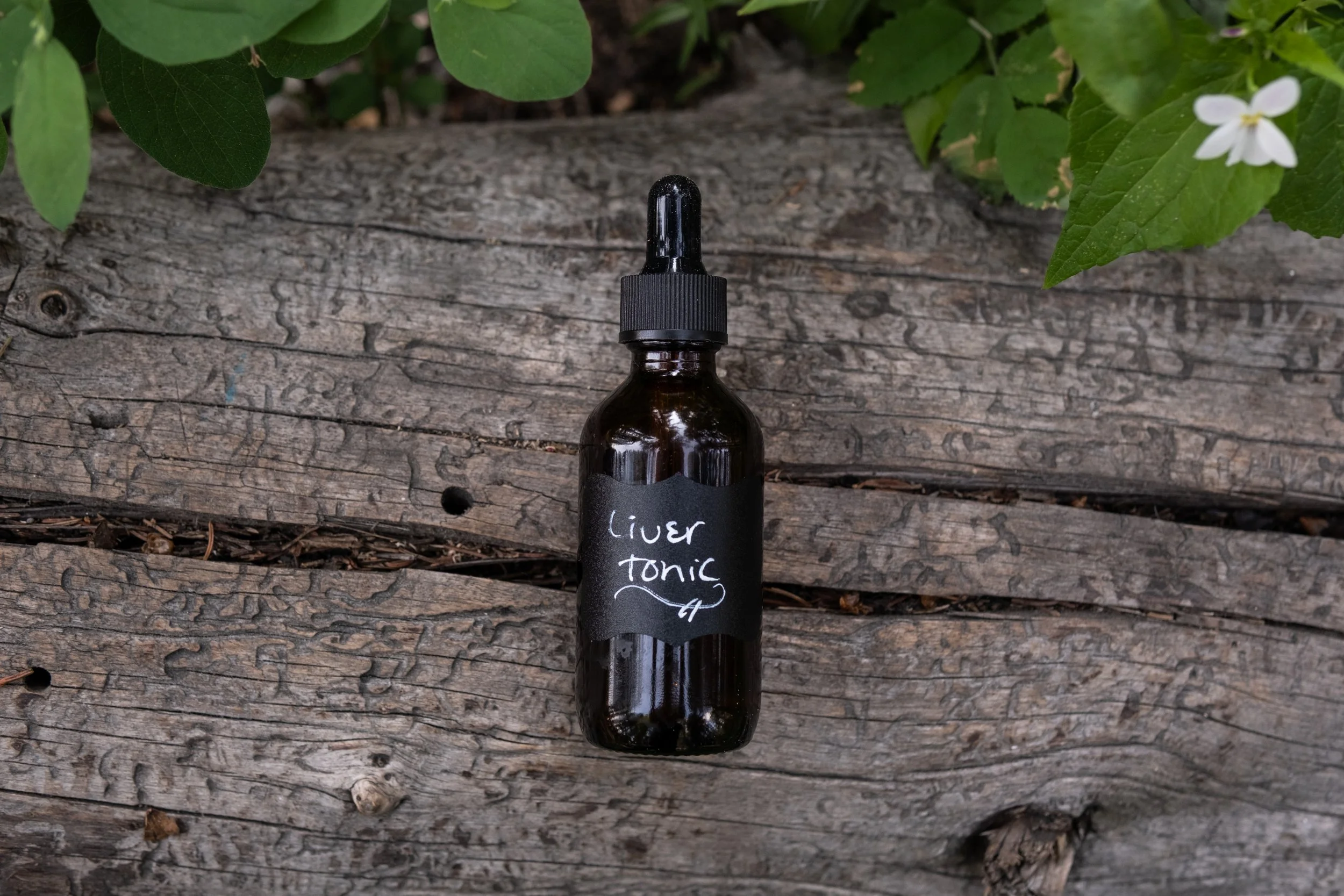 Liver & Kidney Tonic – Support for wellbeing