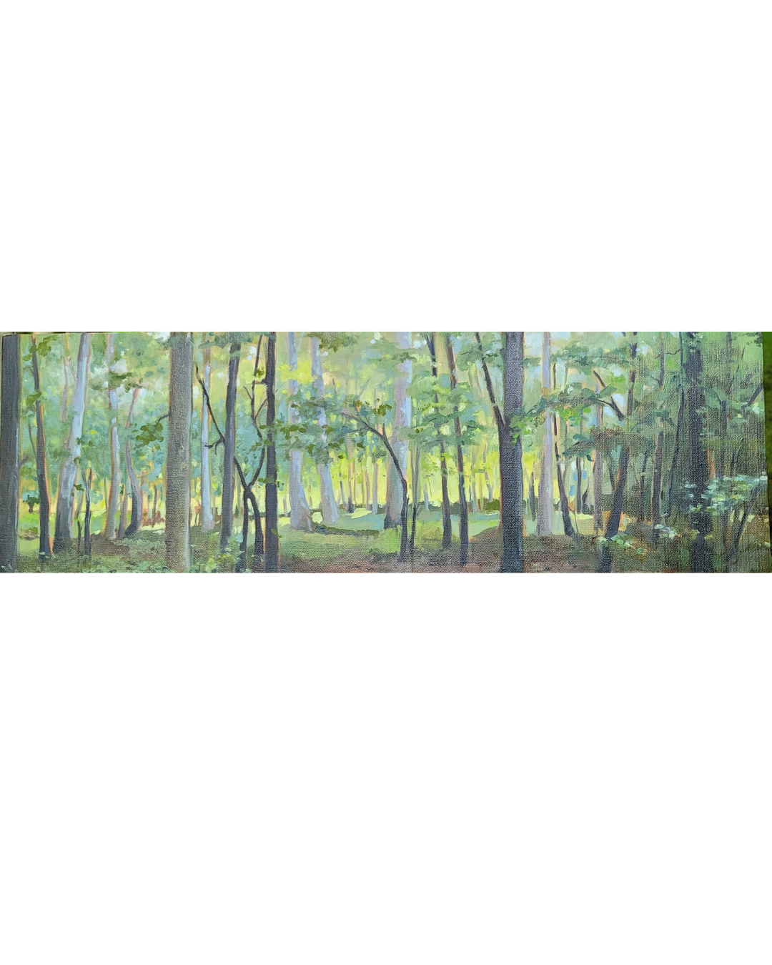 Morning Walk in the Woods