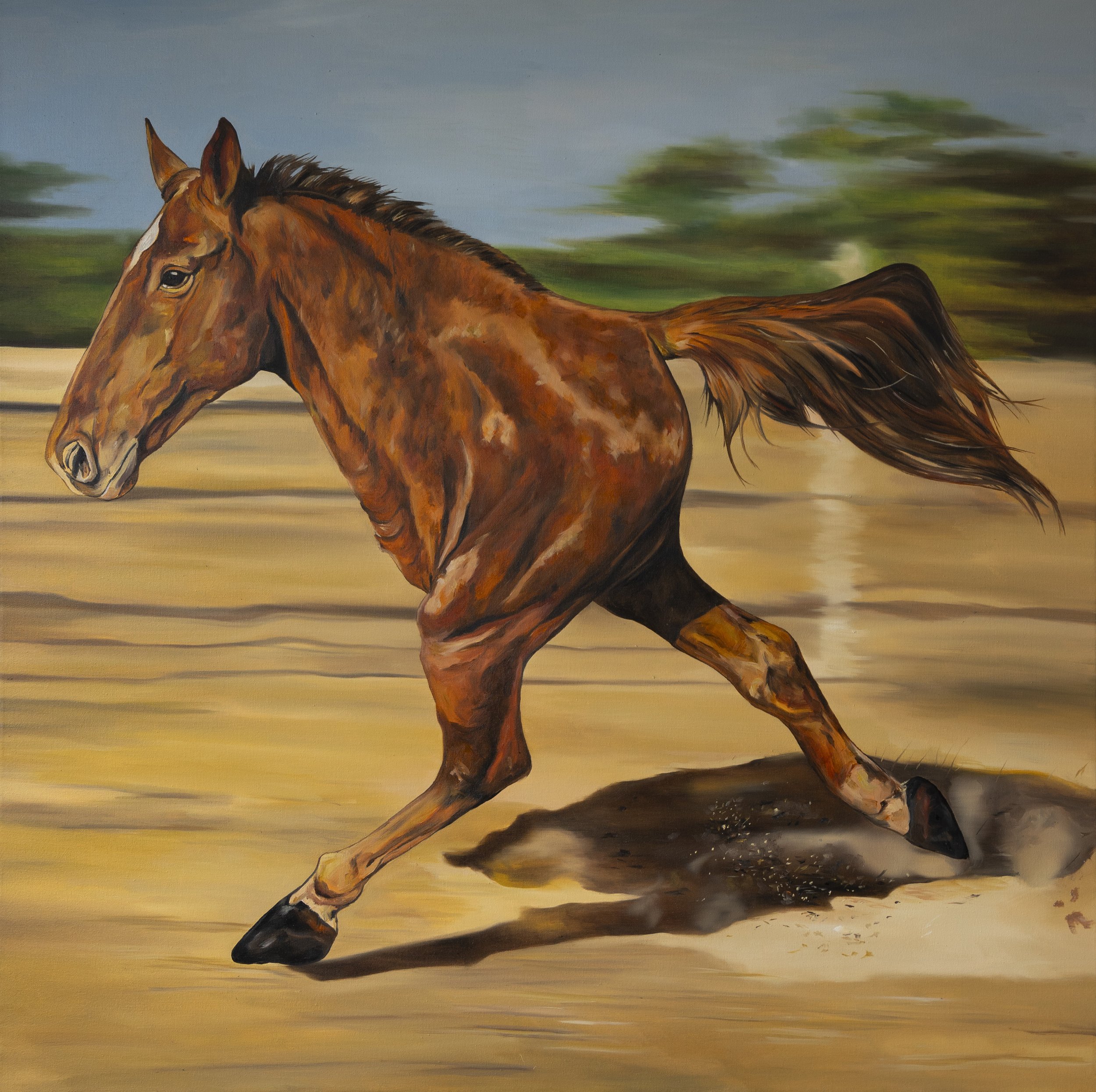 "Sin título"
Óleo sobre tela
80x80cm
2026. 
Esta obra forma parte de un proyecto en desarrollo*. 

PRECIO: $2,100 USD