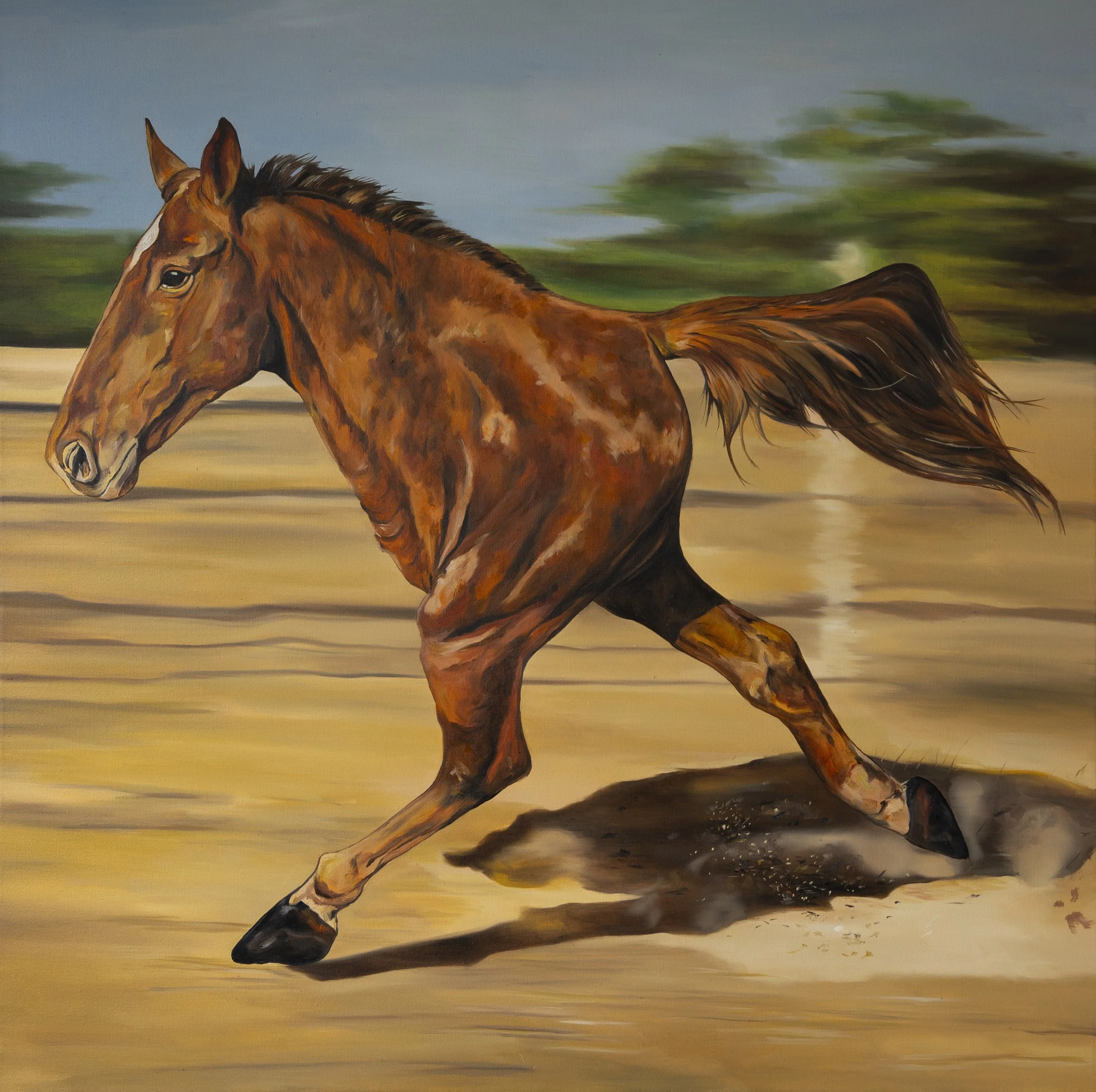 "Caballo Bayo".
Óleo sobre tela.
80x80cm.
2026