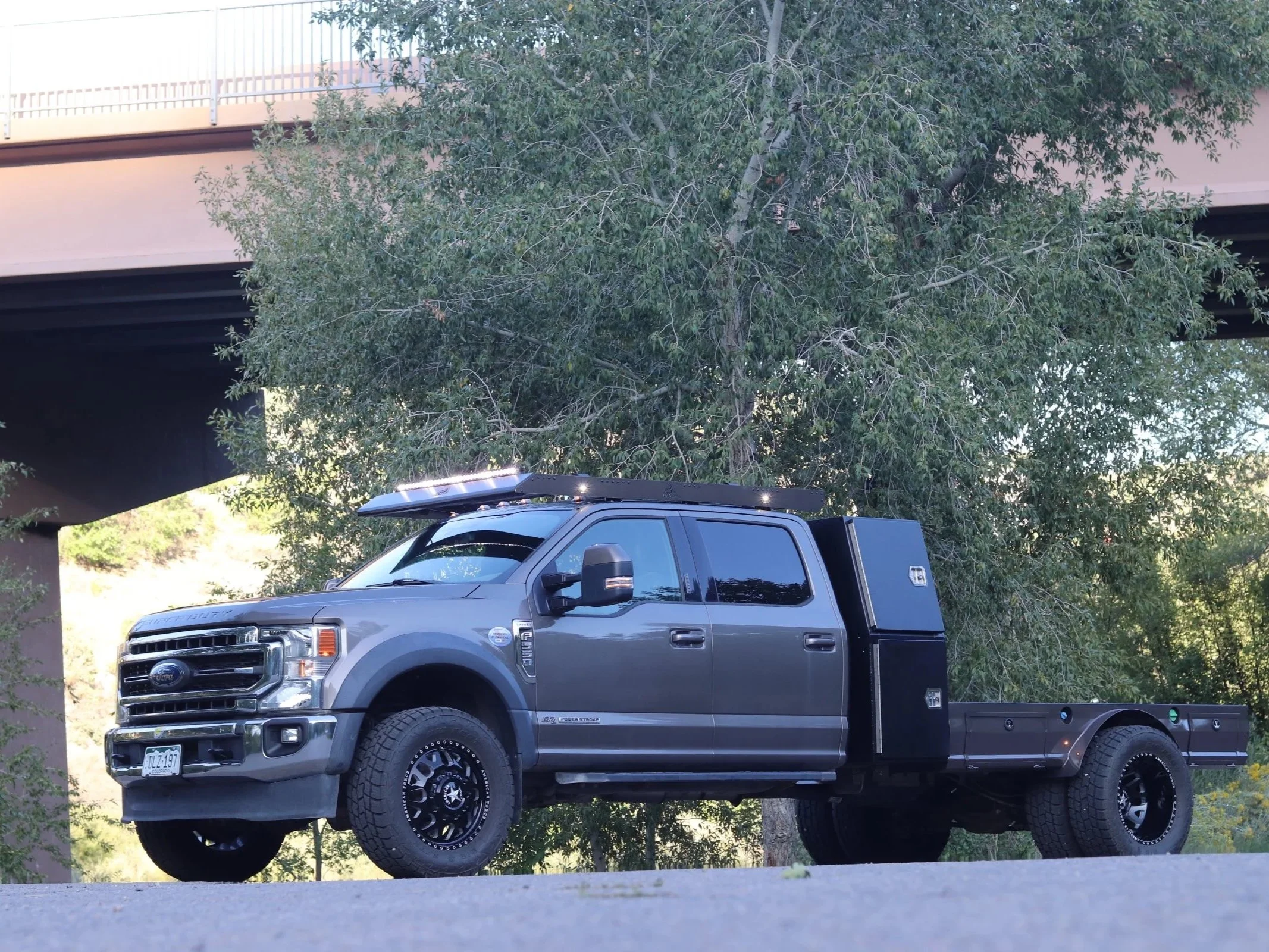 A grey Ford pickup truck with a black utility box on the back and a light bar on the roof, parked near a tree under a bridge or overpass.
