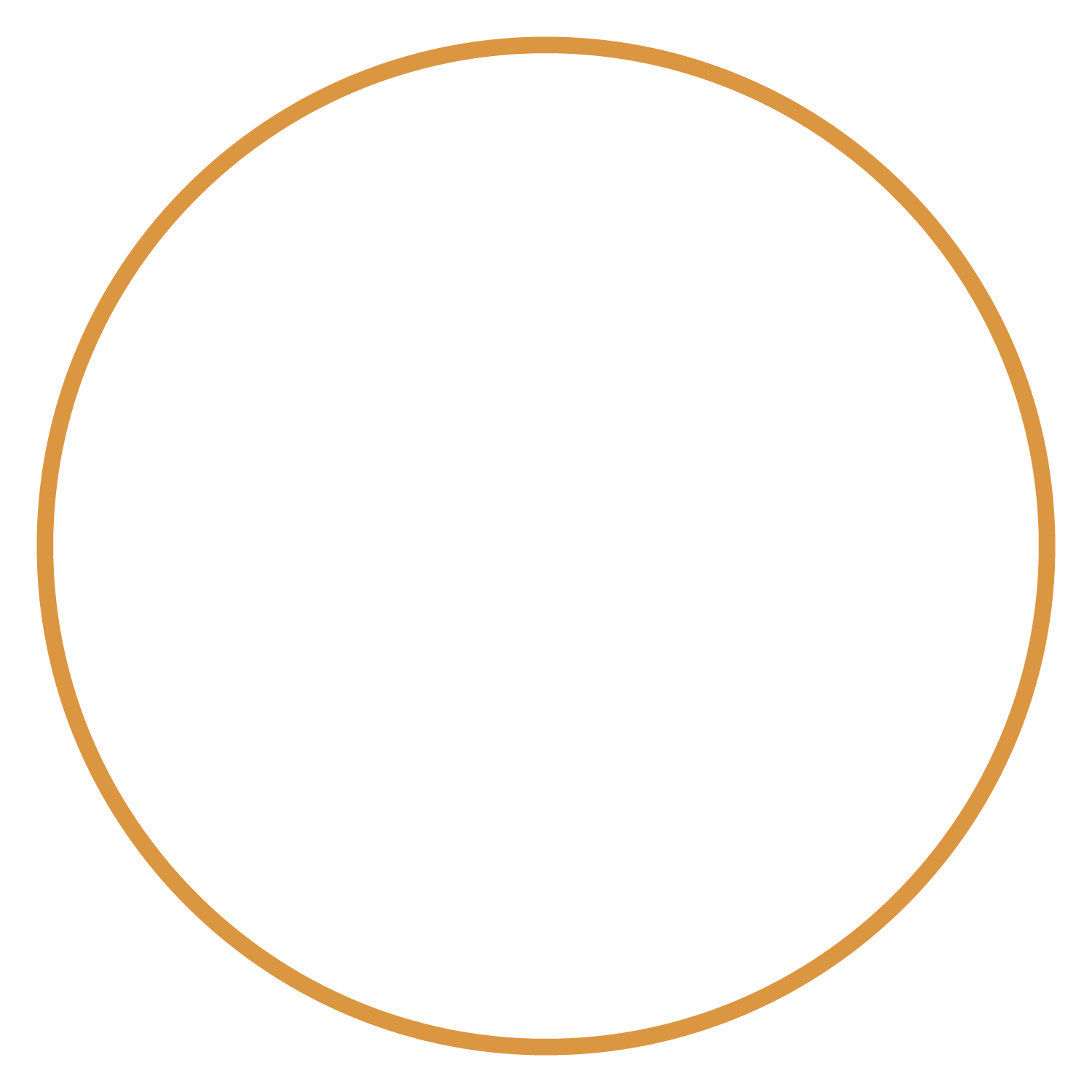 Circular logo with a black background, gold outer border, and white text that reads 'ABBEY KRAMER DDS'.