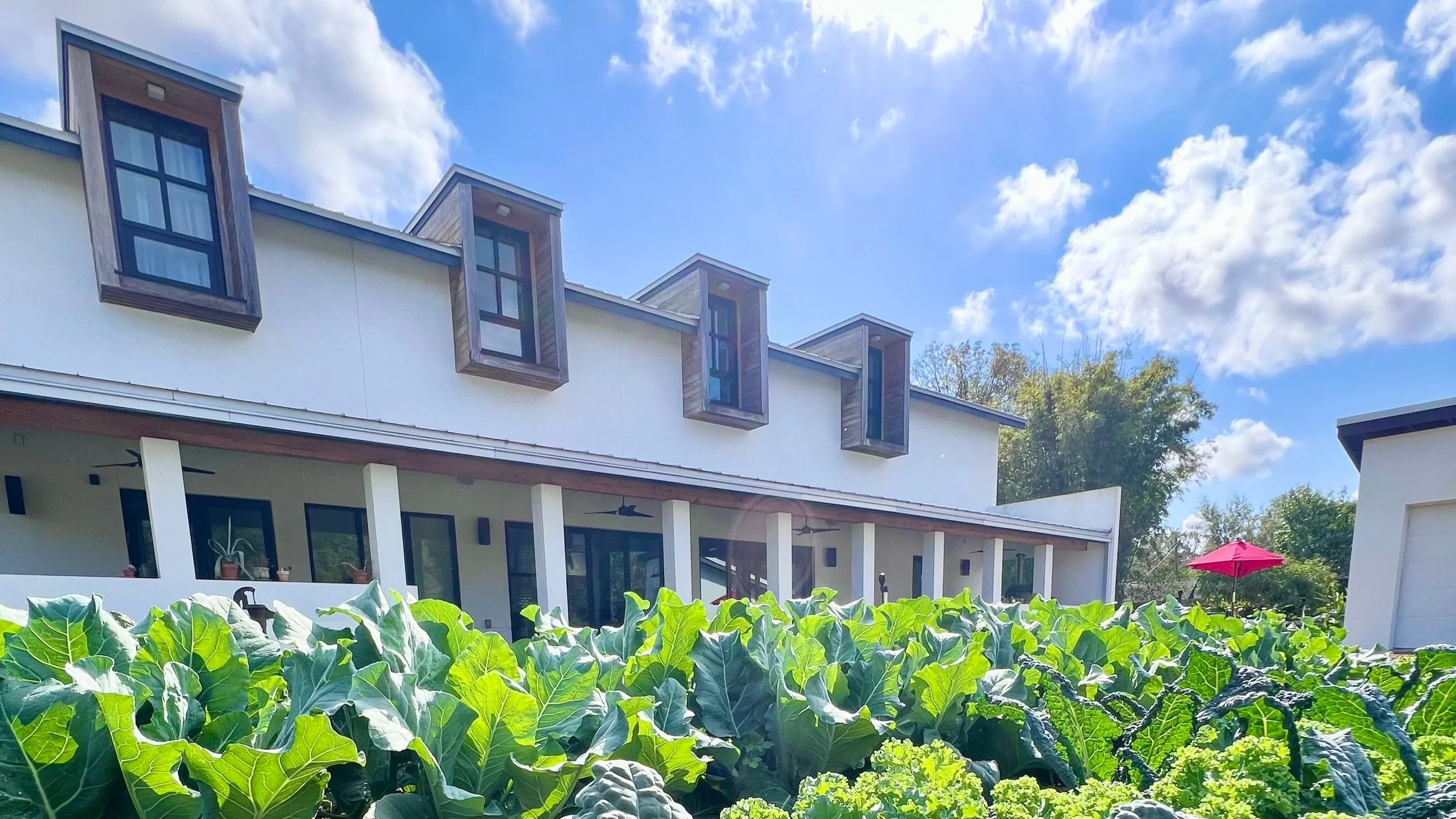 About Us — The Kitchen House