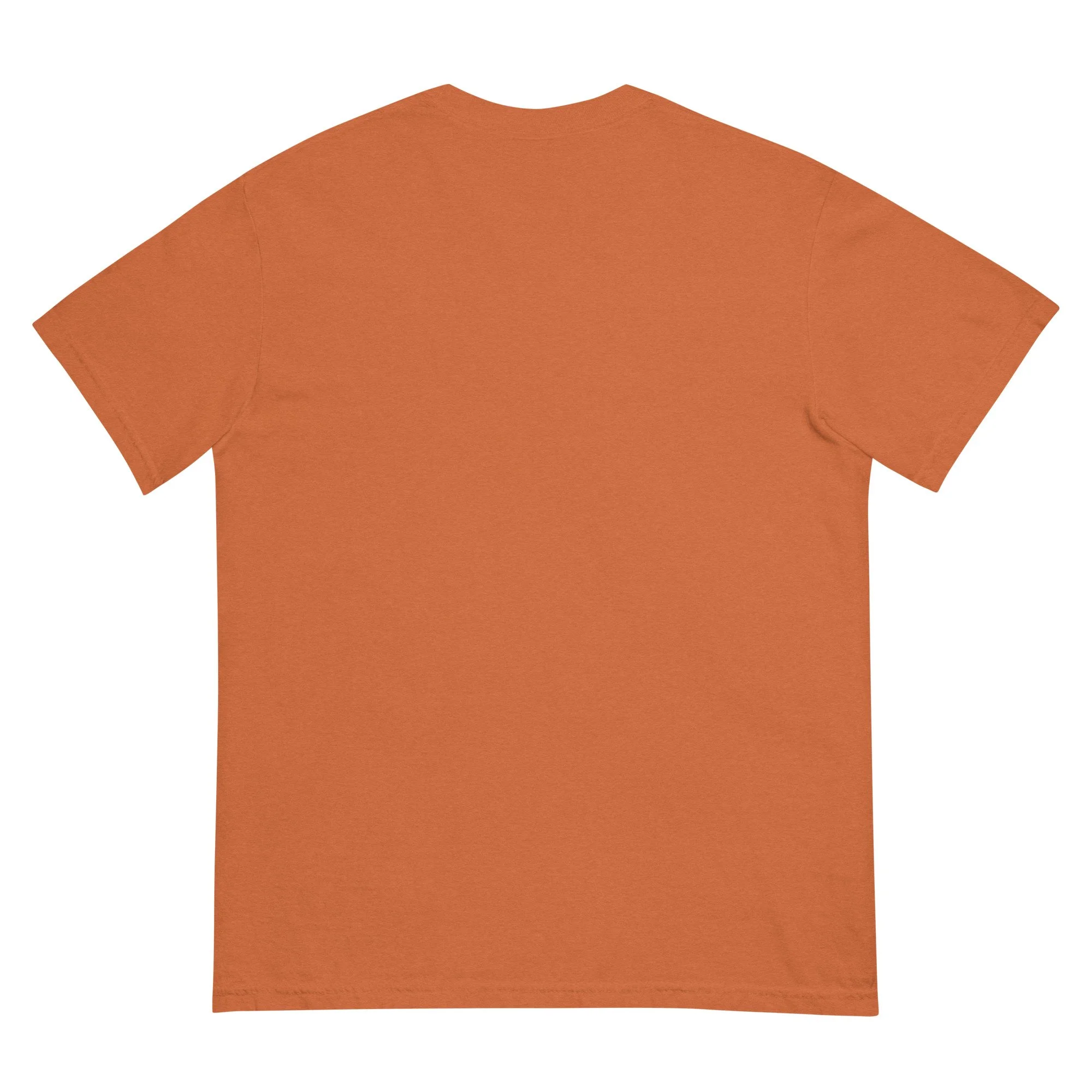unisex-garment-dyed-heavyweight-t-shirt-yam-back-6840753ed9f47.jpg