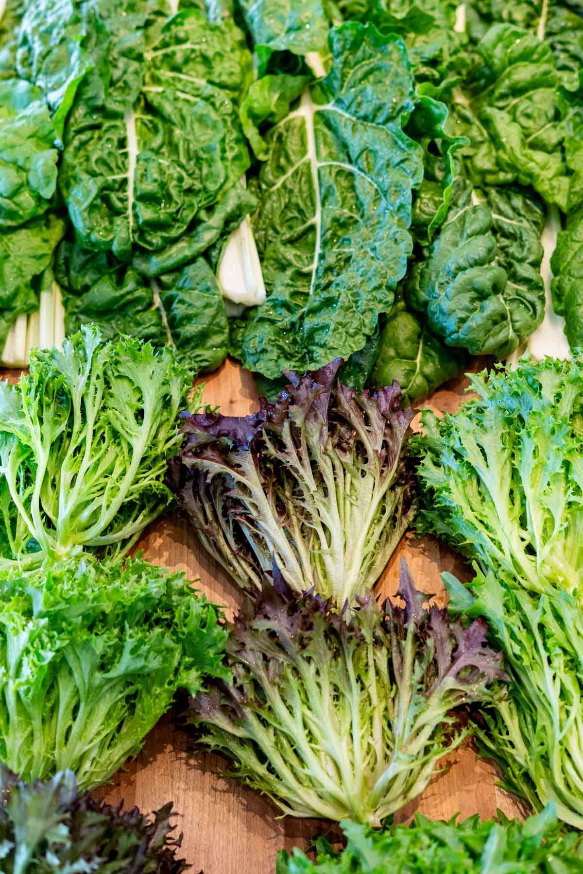 Edits-EEE-February-CSA-14.jpg