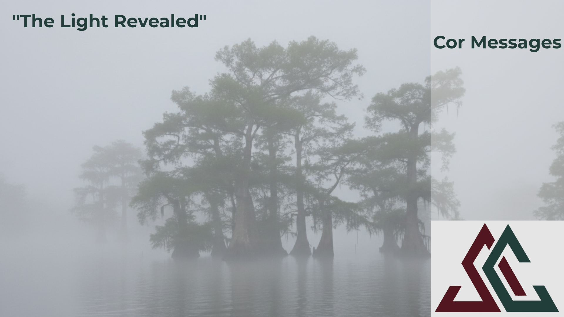 Blog 29: The Light Revealed