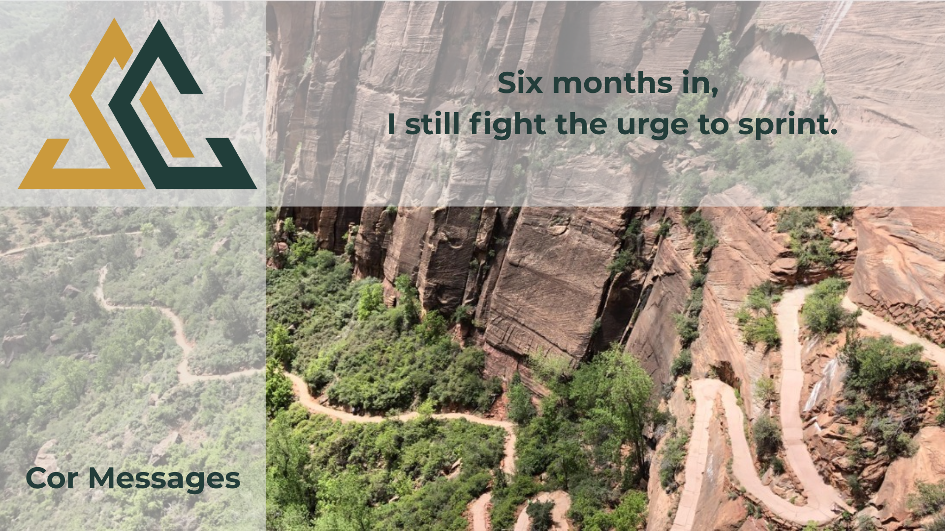 Blog 23: The Right Pace – Fast Isn’t Free (Revisited)