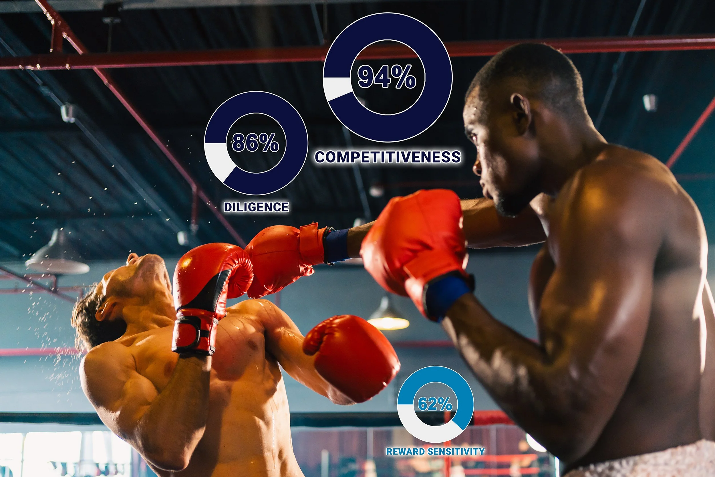 Two shirtless men boxing in a gym with graphical data overlay showing percentages for competitiveness, diligence, and reward sensitivity.