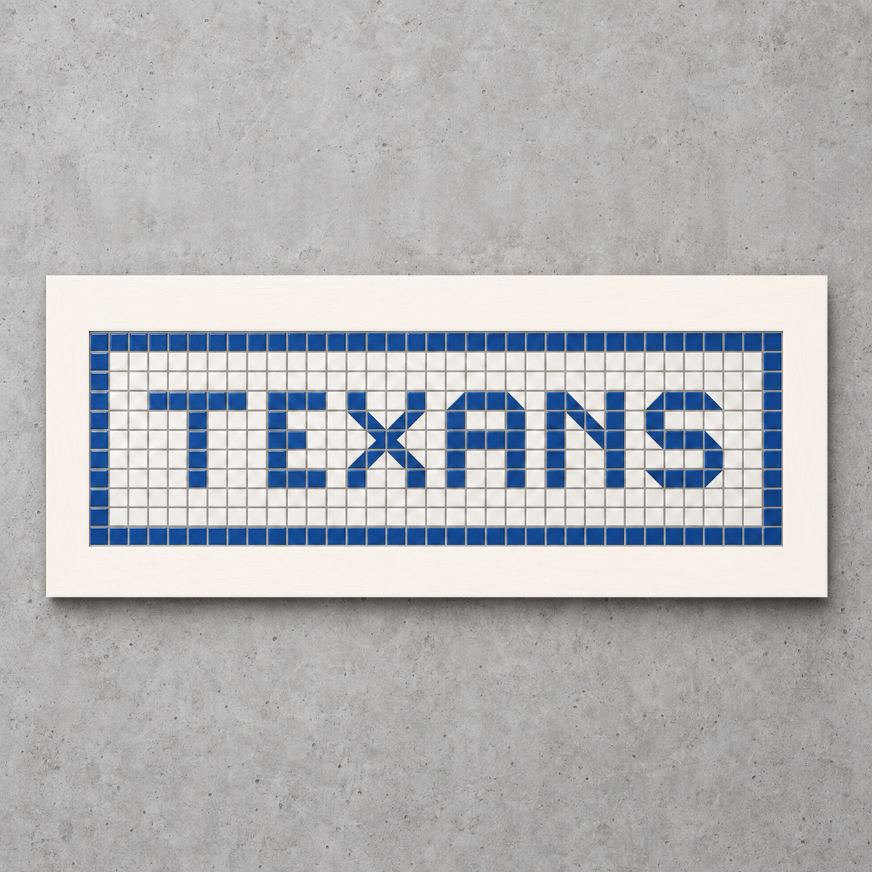 TEXANS_Product_White.png