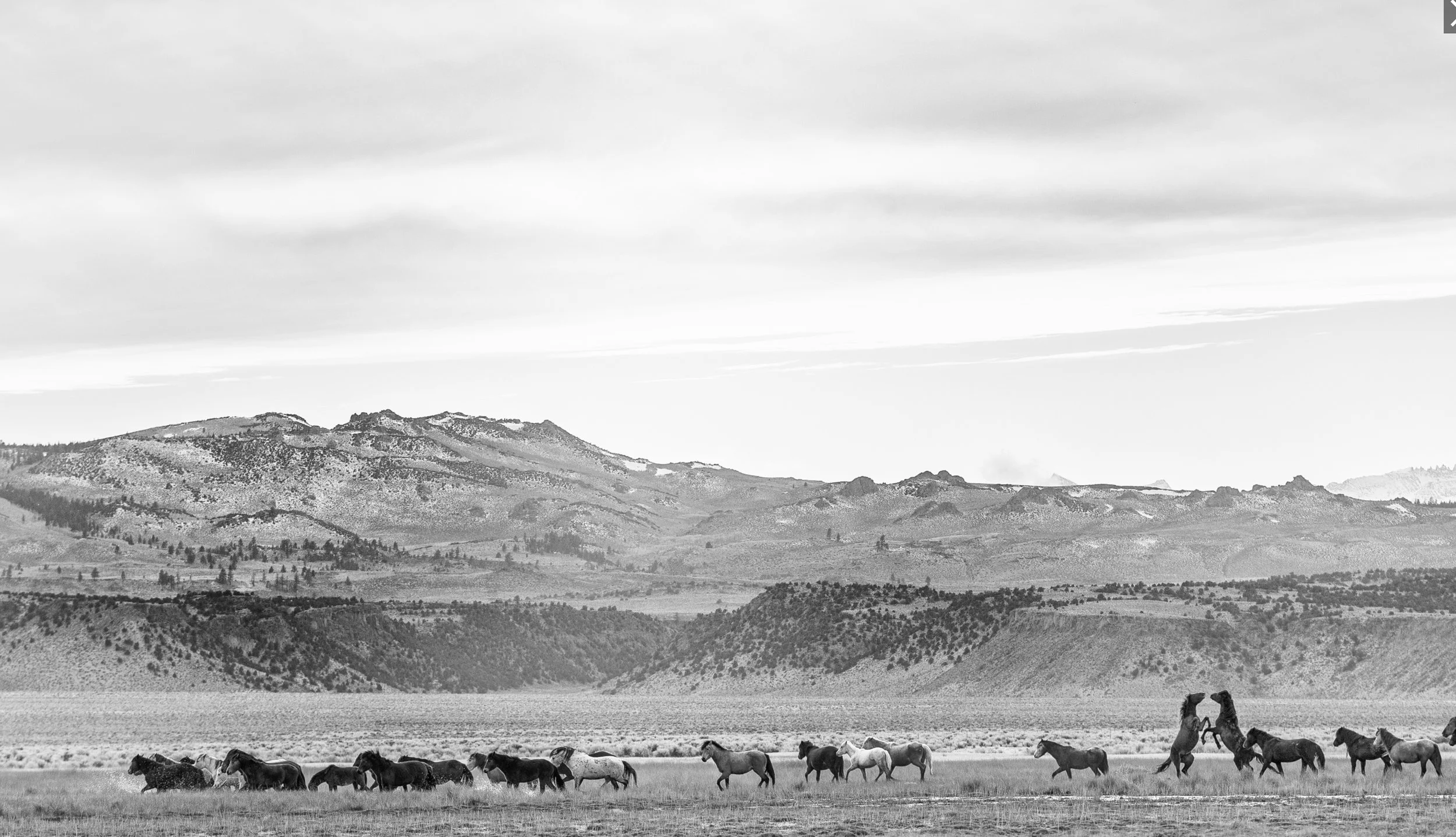 Mustang Mountain