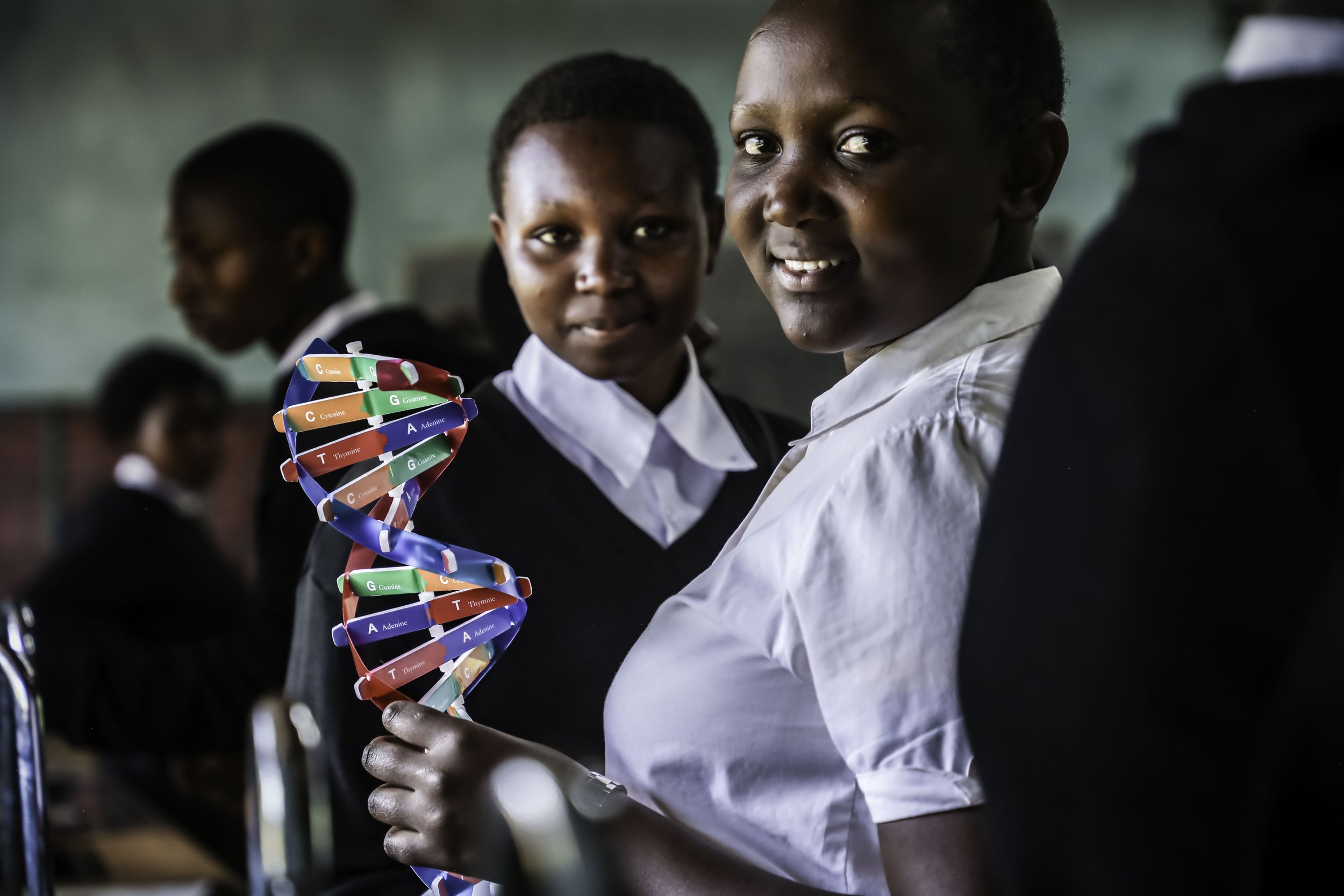 Students in a classroom holding a model of a DNA double helix with colorful labels for gene components.