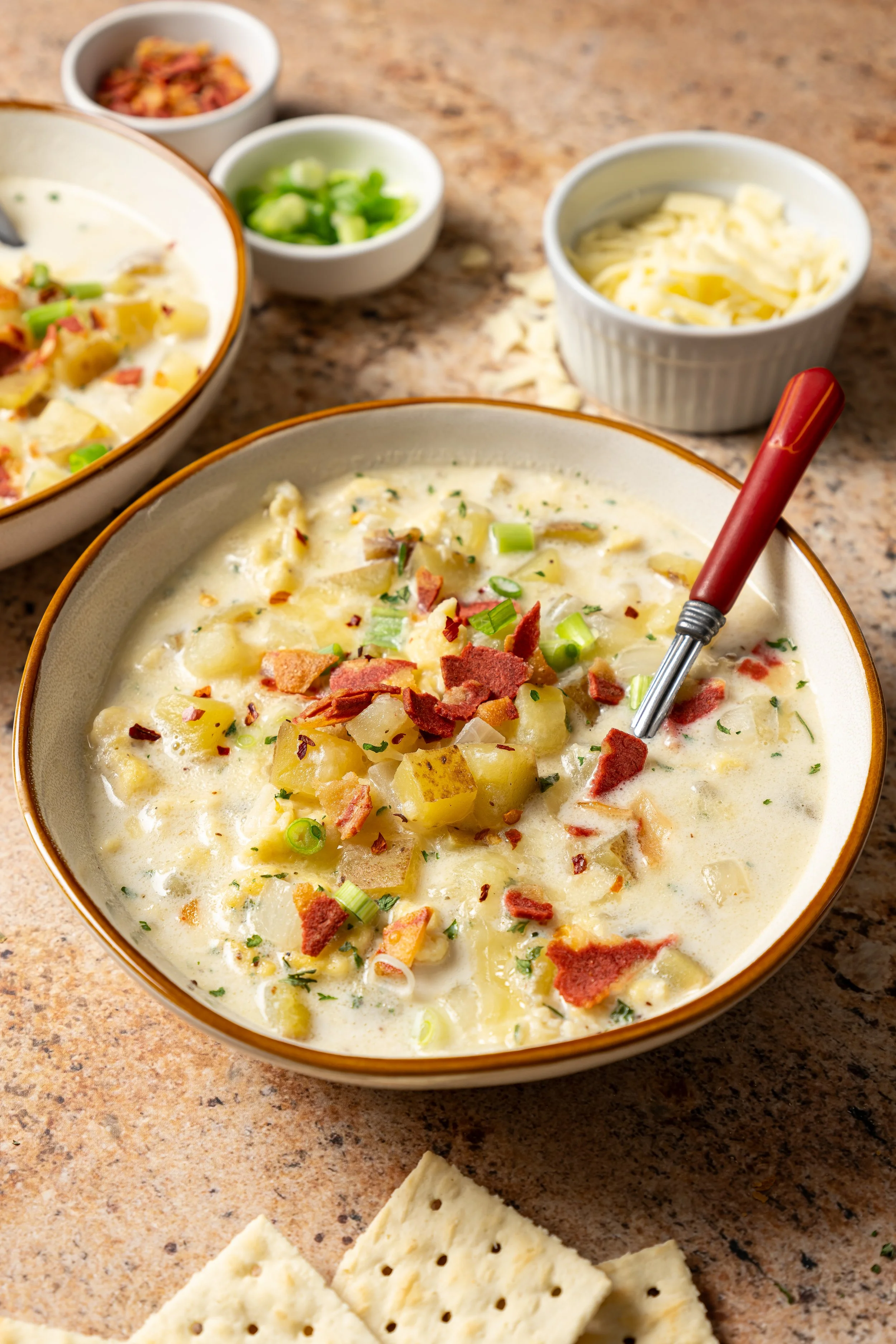 Vegetarian potato soup recipe from the Grange Cookbook on the JodiLoves blog. A cozy bowl of creamy rustic soup loaded with diced potatoes, cheese, green onions, and veggie bacon bits, served with crisp saltine crackers.