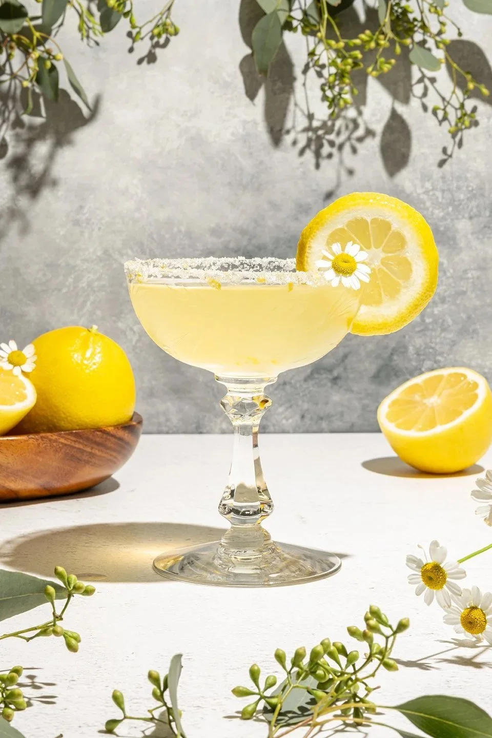 Editorial beverage photography of a Chamomile Lemon Drop Martini in a sugar-rimmed coupe glass, garnished with a lemon wheel and flower, styled with fresh lemons and eucalyptus leaves in bright sunlight.