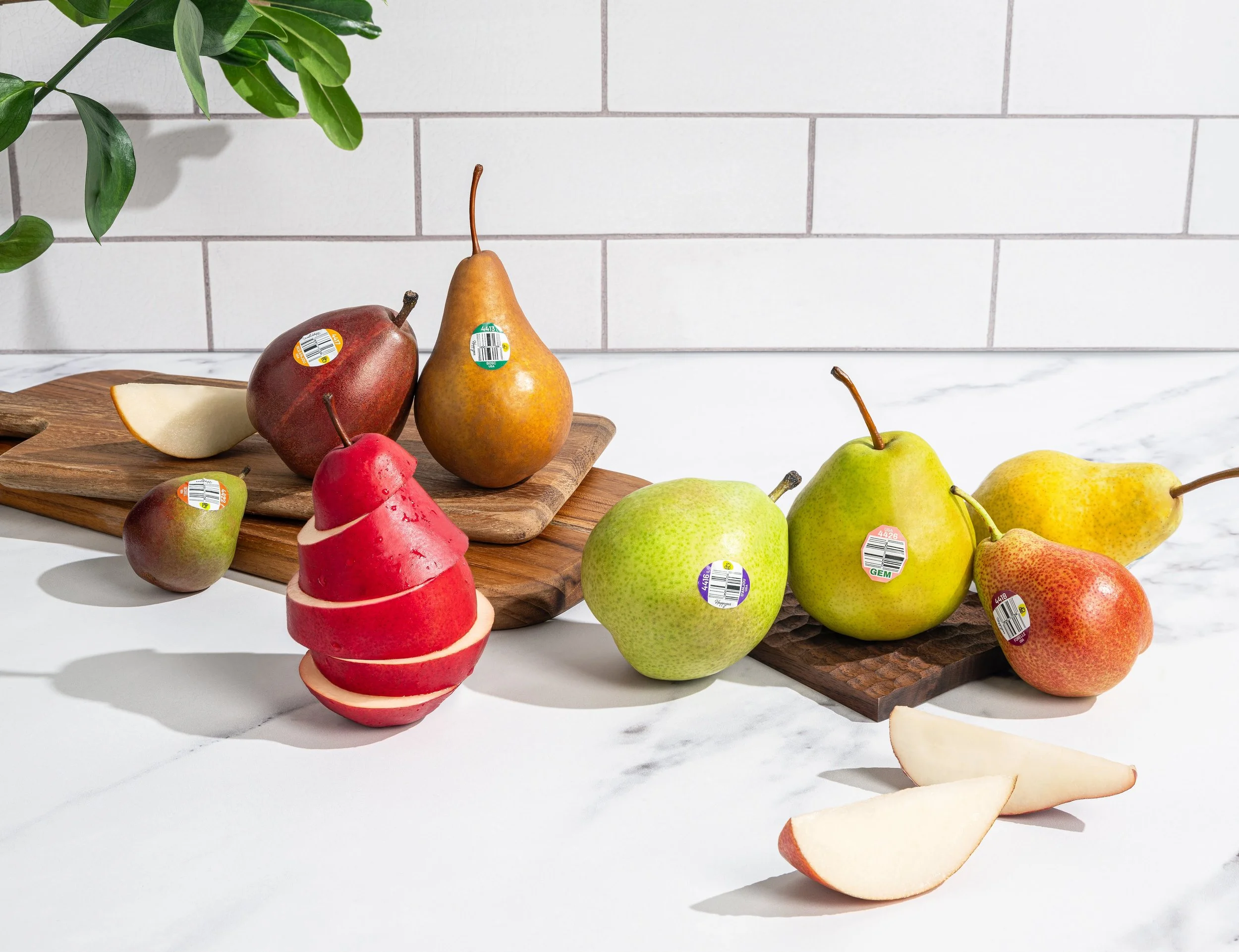CMI-Orchards-54.jpg