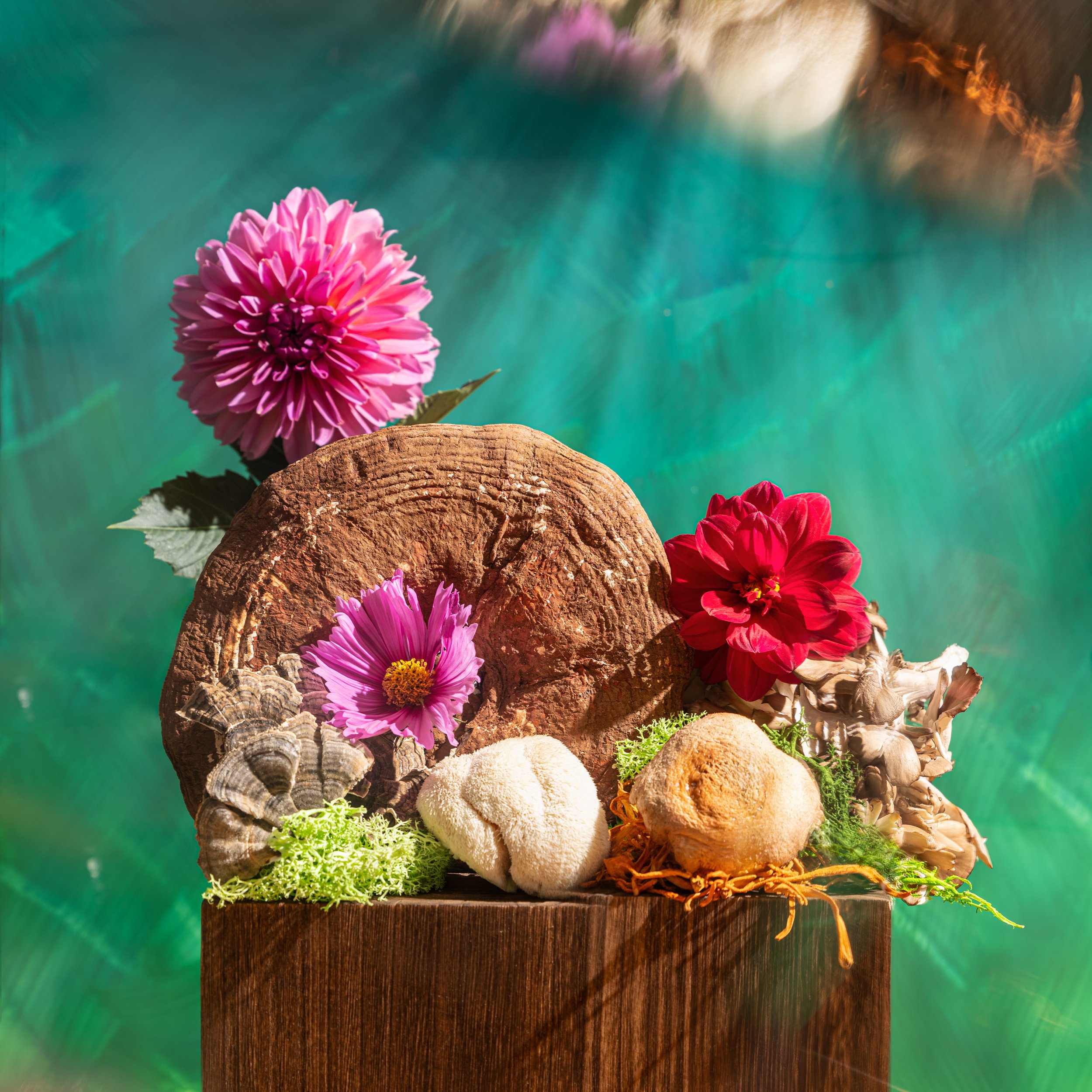 Colorful floral arrangement with pink and red flowers, a wooden backdrop, and green moss on a turquoise background.