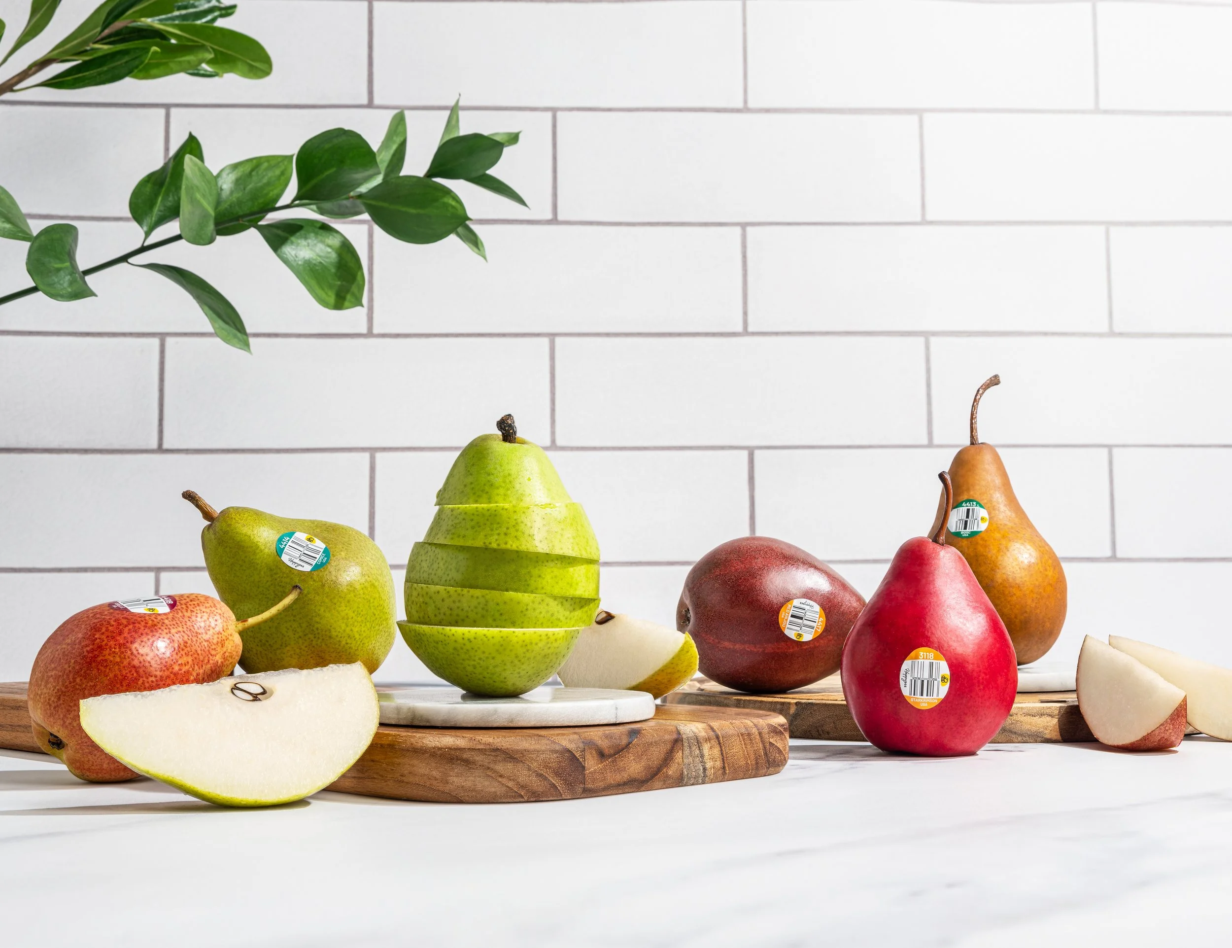 Bright editorial photograph capturing a variety of premium harvest pears. Artistically composed with fresh fruit wedges and crisp green leaves on a modern kitchen countertop for a grocery or agricultural brand campaign.
