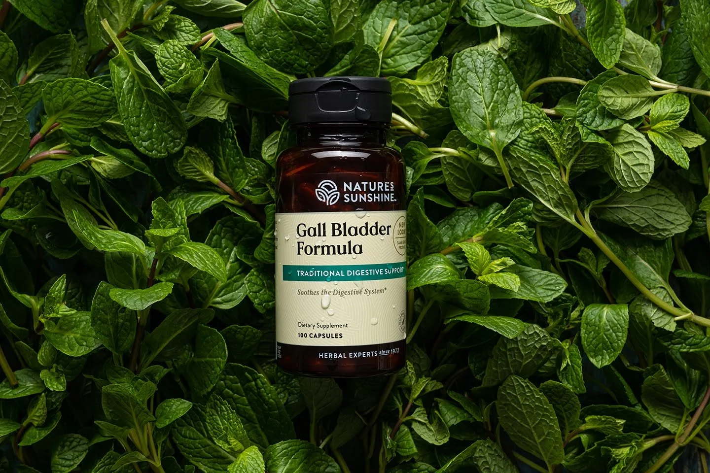 Gall_Bladder_Formula_2.jpg