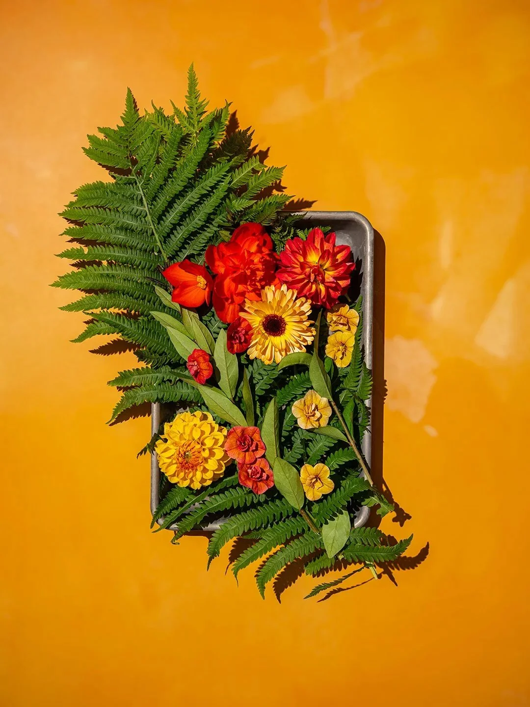 Fine art commercial still life photography by Brilliant Pixel Imaging. A metallic tray arranged with vibrant red and yellow flowers and fresh green ferns on a bold orange background with hard shadows.