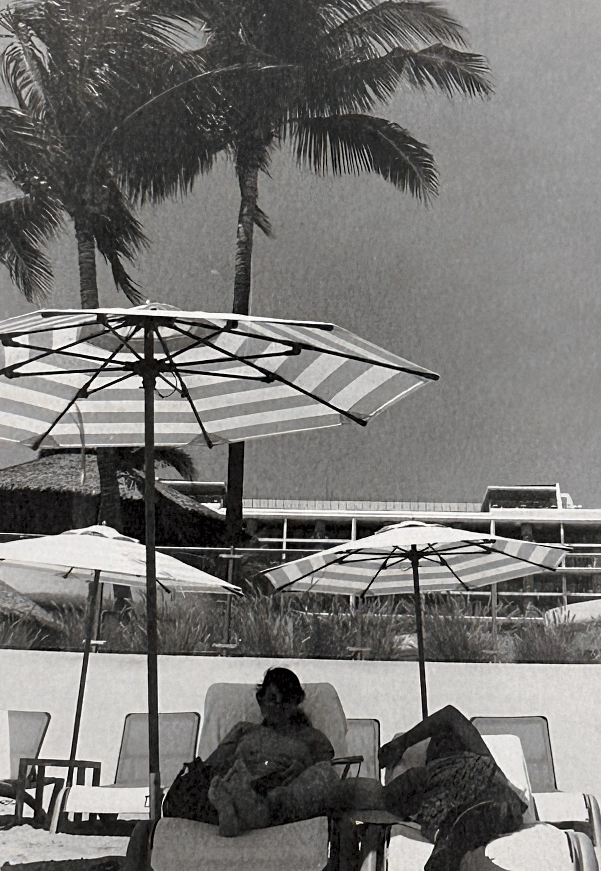 𝘛𝘩𝘦 𝘚𝘩𝘢𝘥𝘦 𝘉𝘦𝘵𝘸𝘦𝘦𝘯

Analog photo, hand-printed 