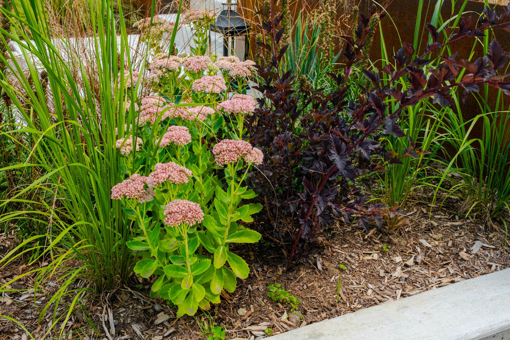 Garden-Party-August-2023-26.jpg