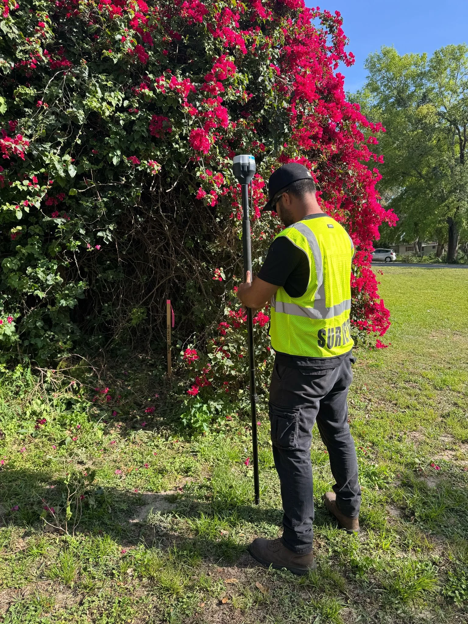 51a465e5-2b15-42a9-a214-bc34776bc0a4 (1) (1).JPEG