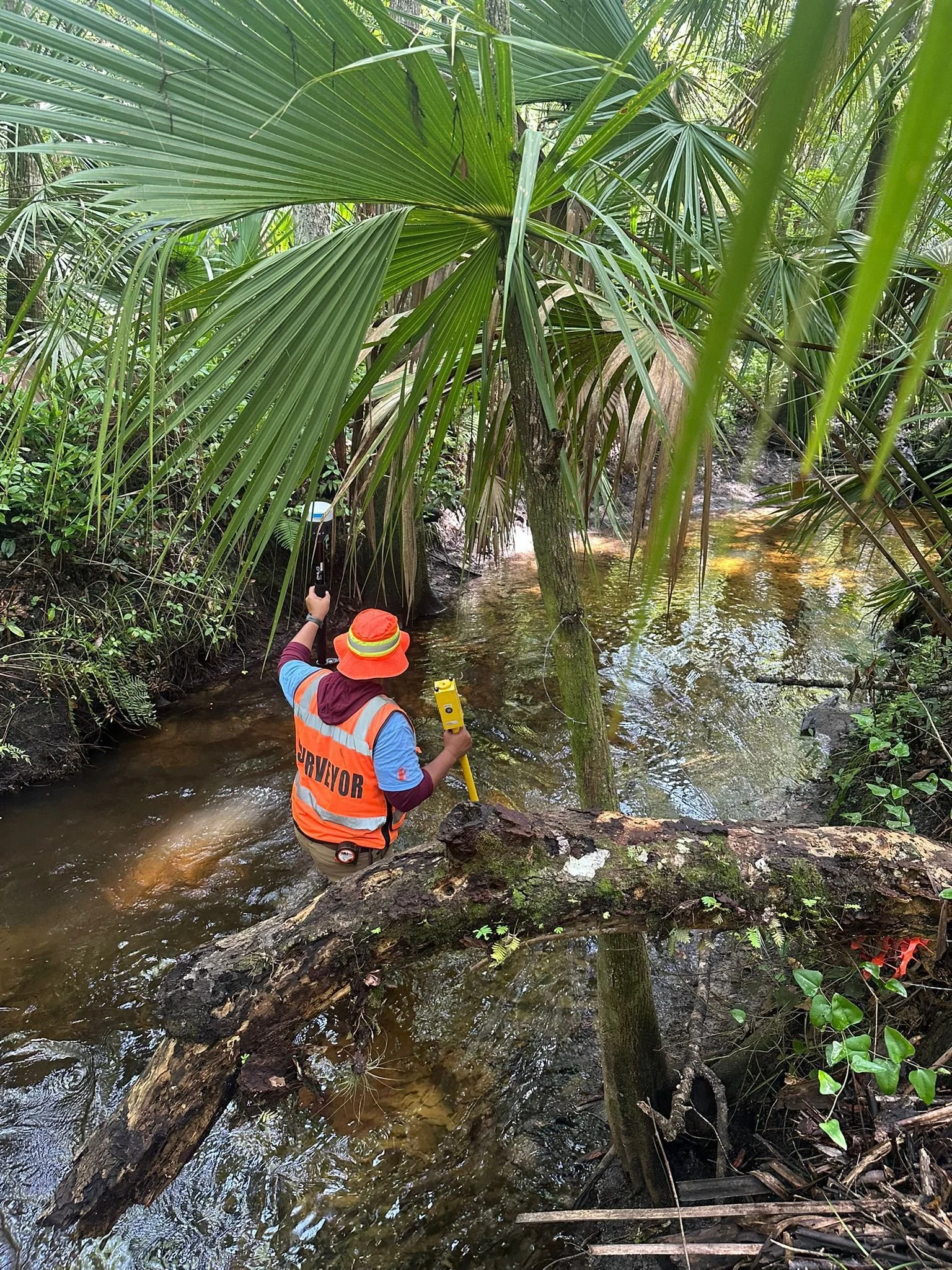 WhatsApp Image 2025-06-30 at 6.19.38 AM.jpeg