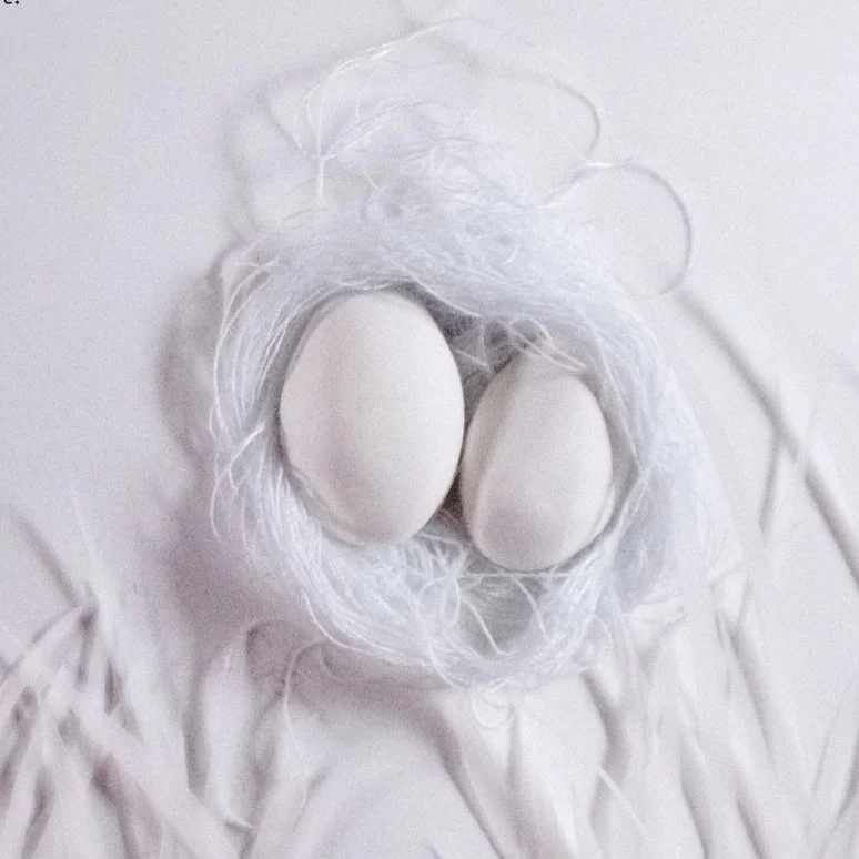 Kriiip, Kriiiip, Kriiiiiiip!