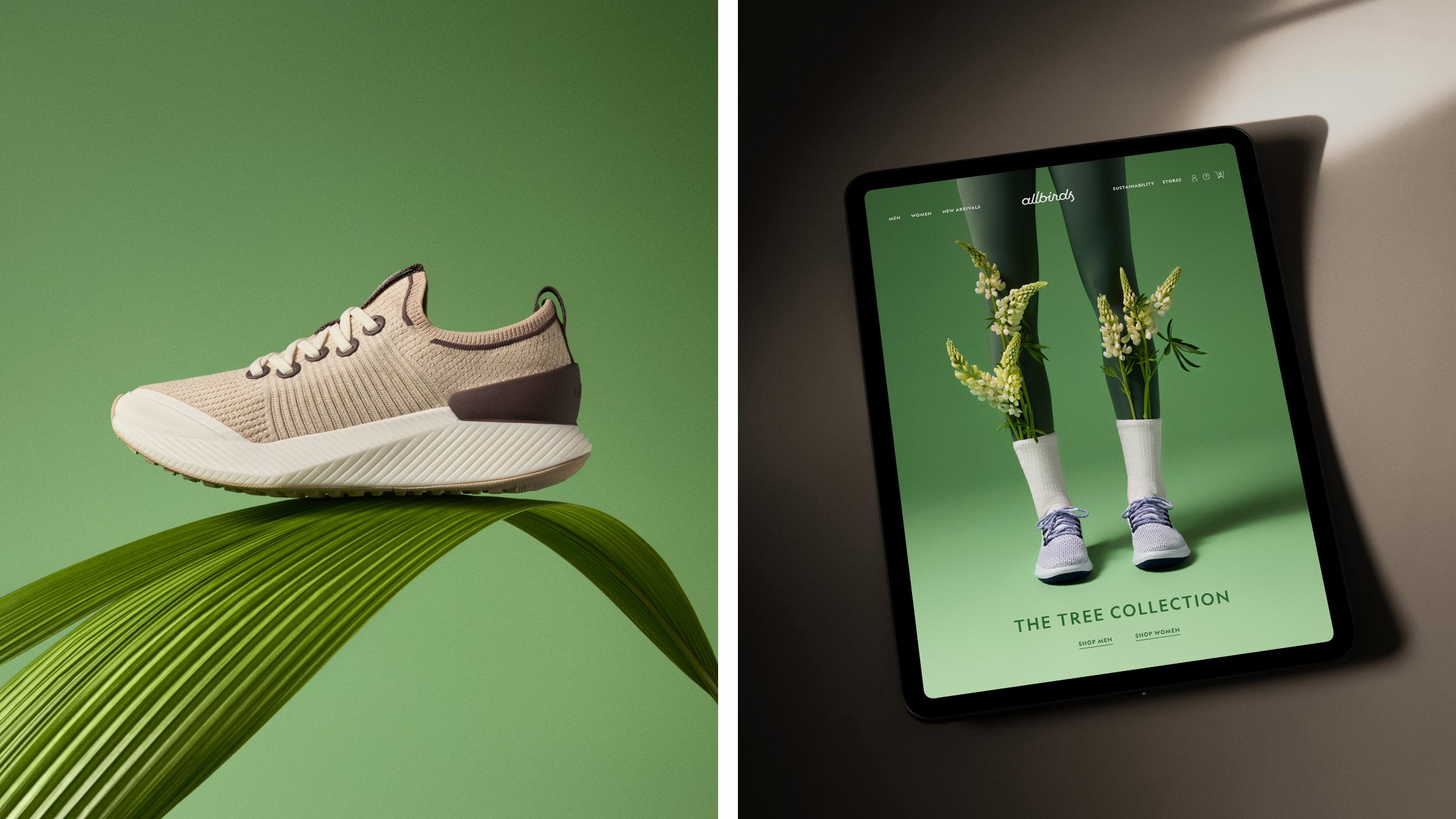 Allbirds E4.jpg