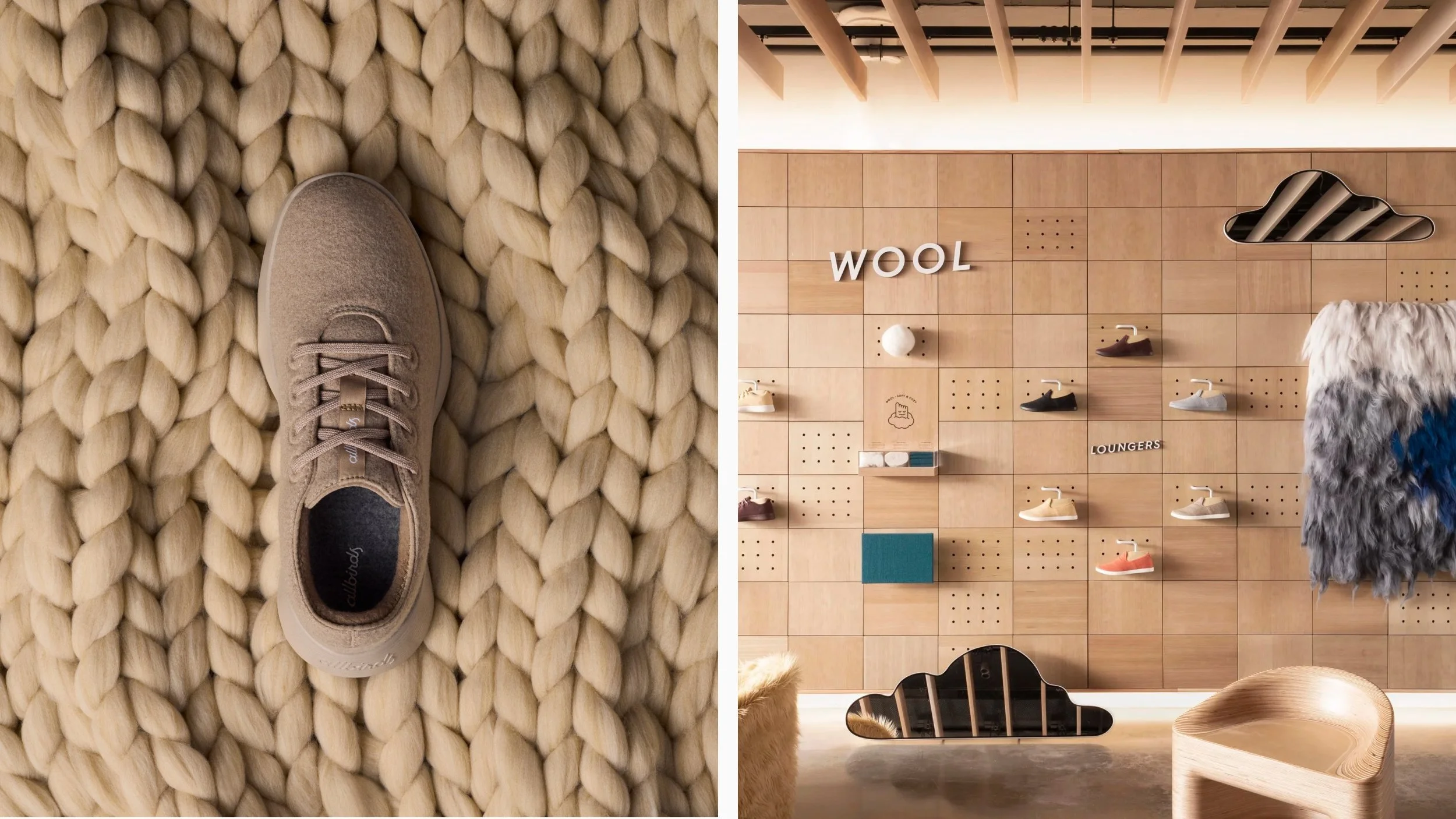 Allbirds C5.jpg