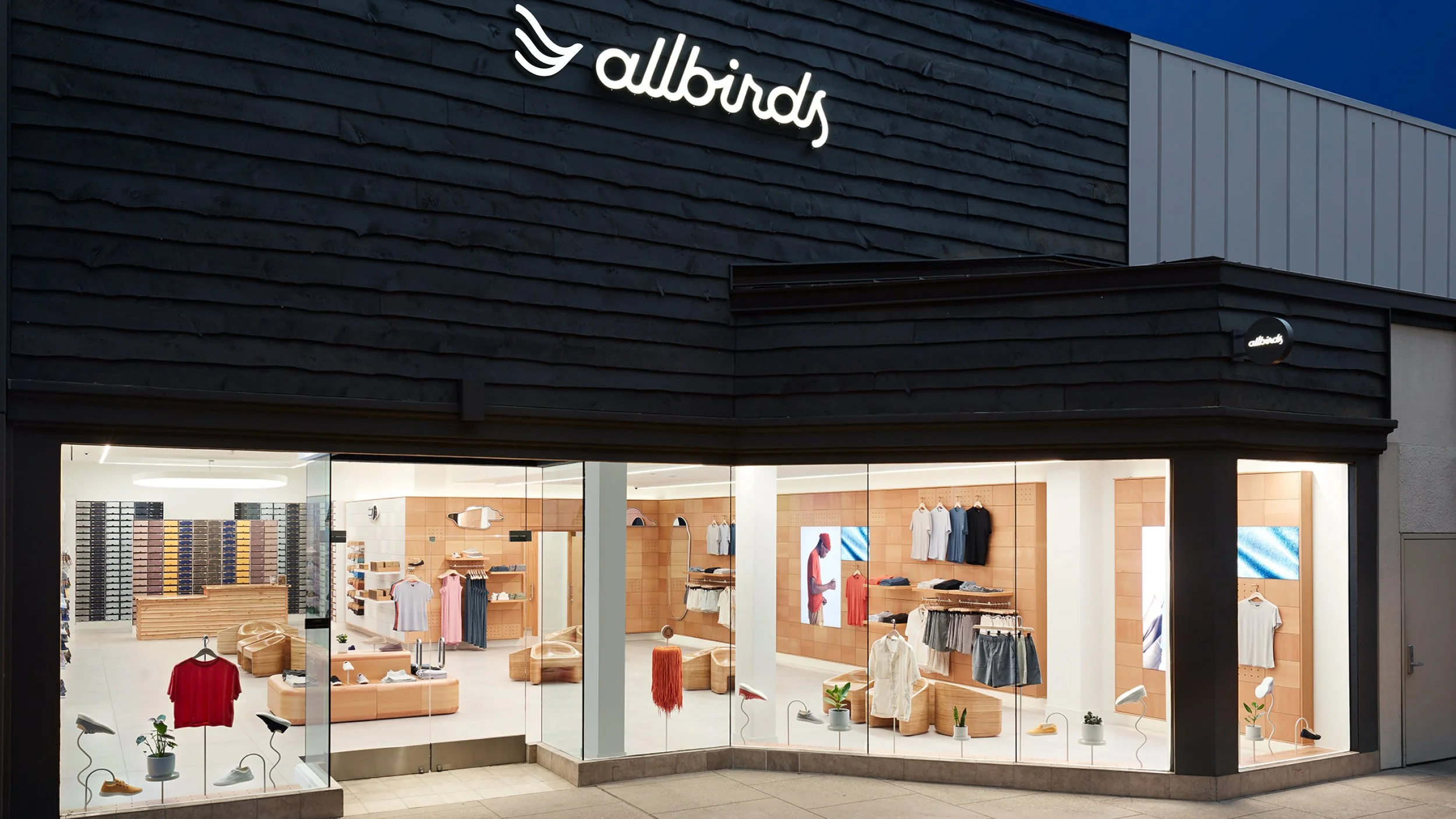 Allbirds C15.jpg