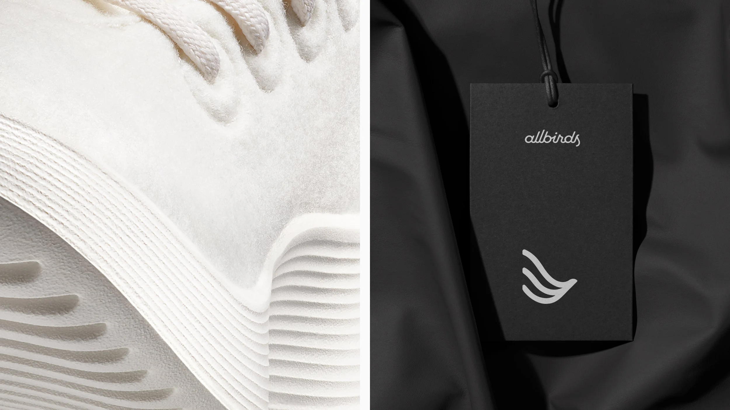 Allbirds C11a.jpg