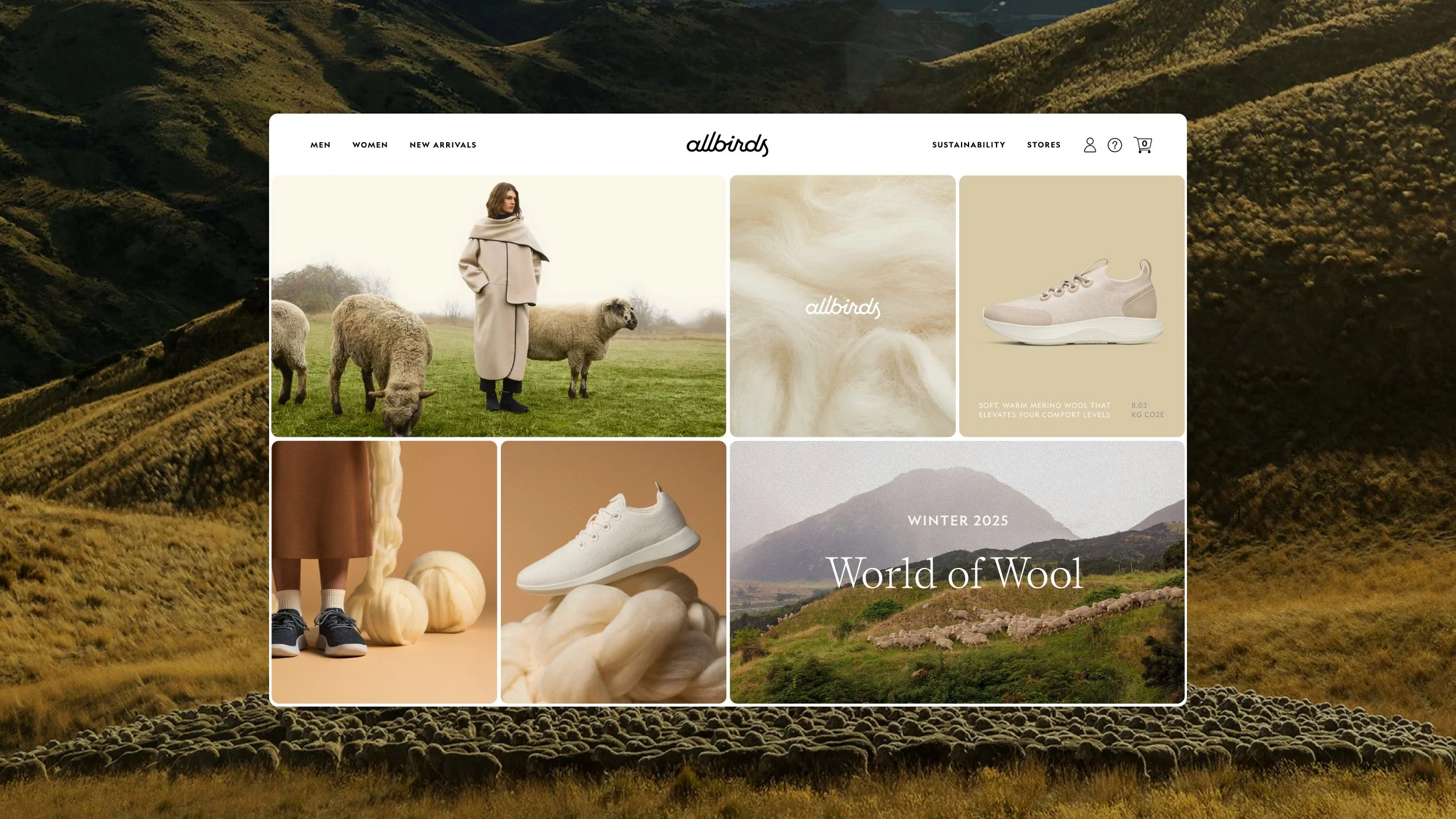 Allbirds C4.jpg