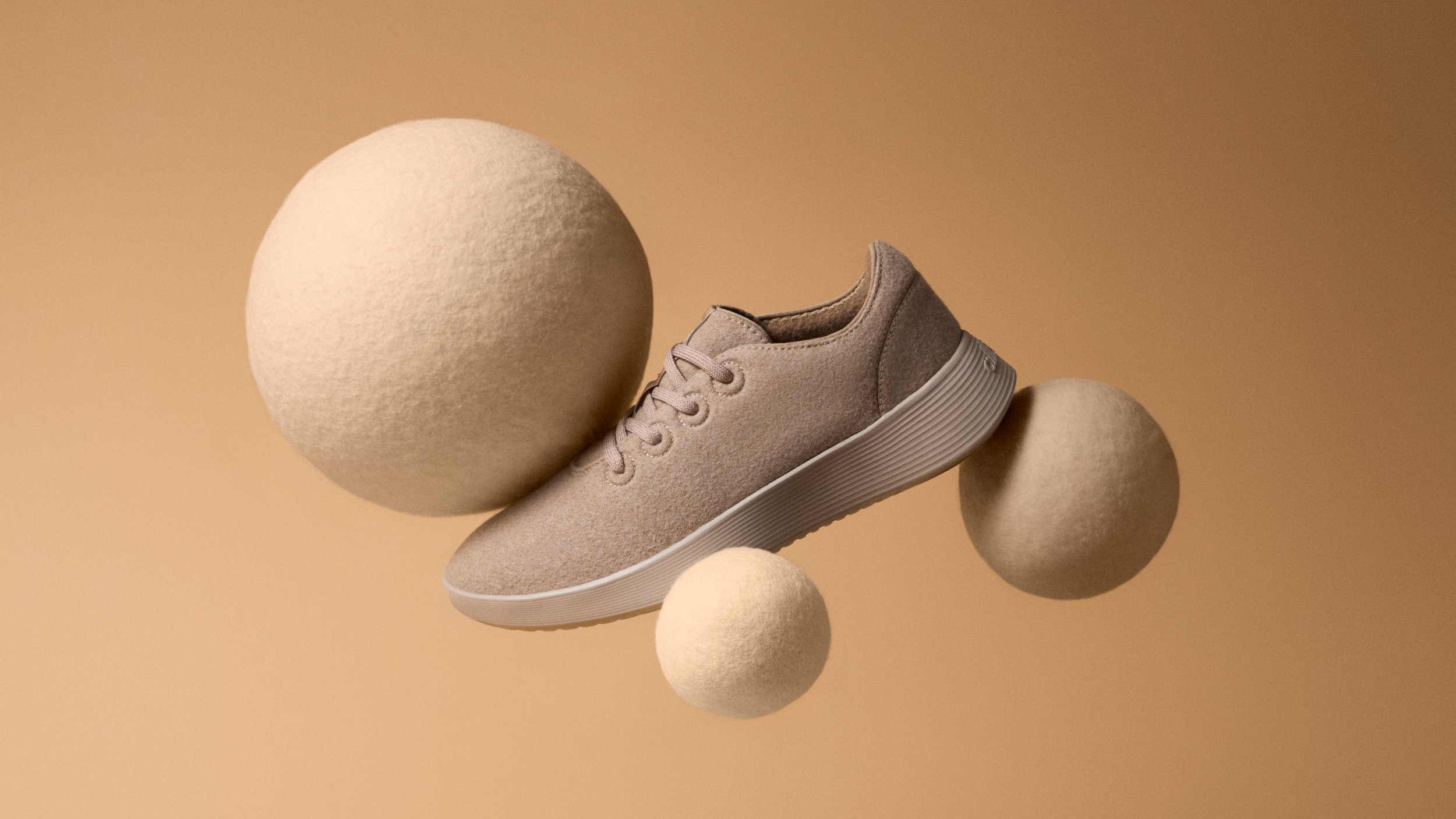 Allbirds E1.jpg